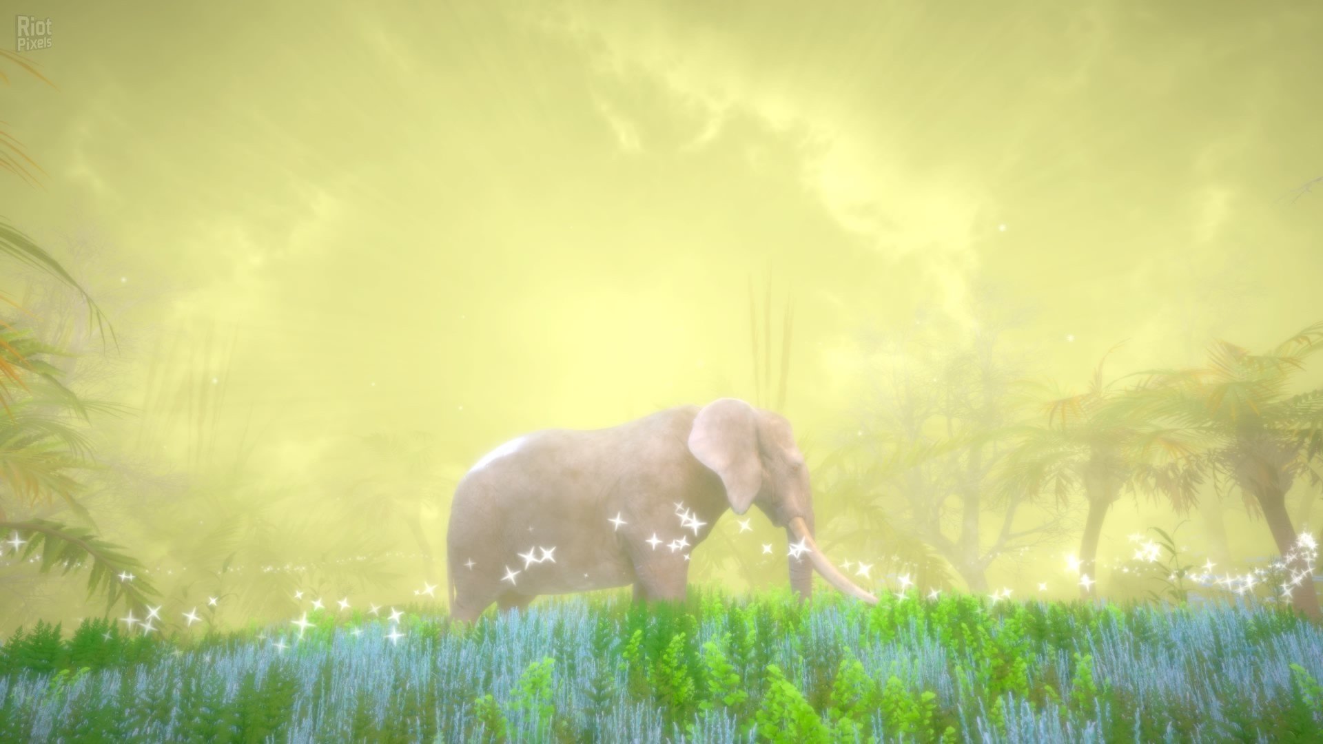 [9]-Hidden Treasures in the Forest of Dreams Download