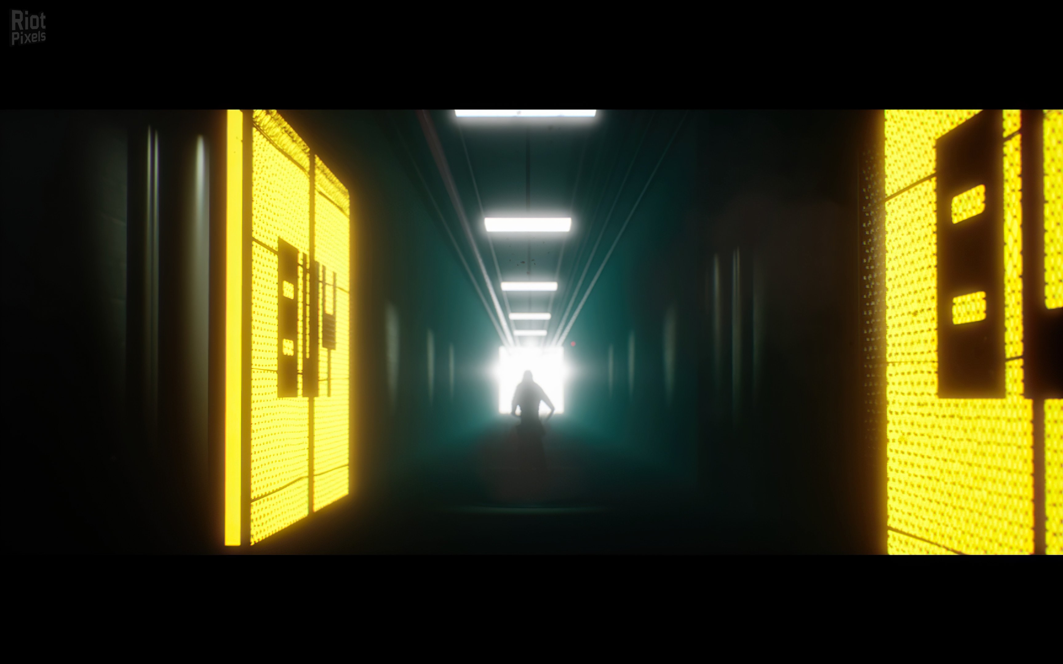 [7]-The Plane Effect Download