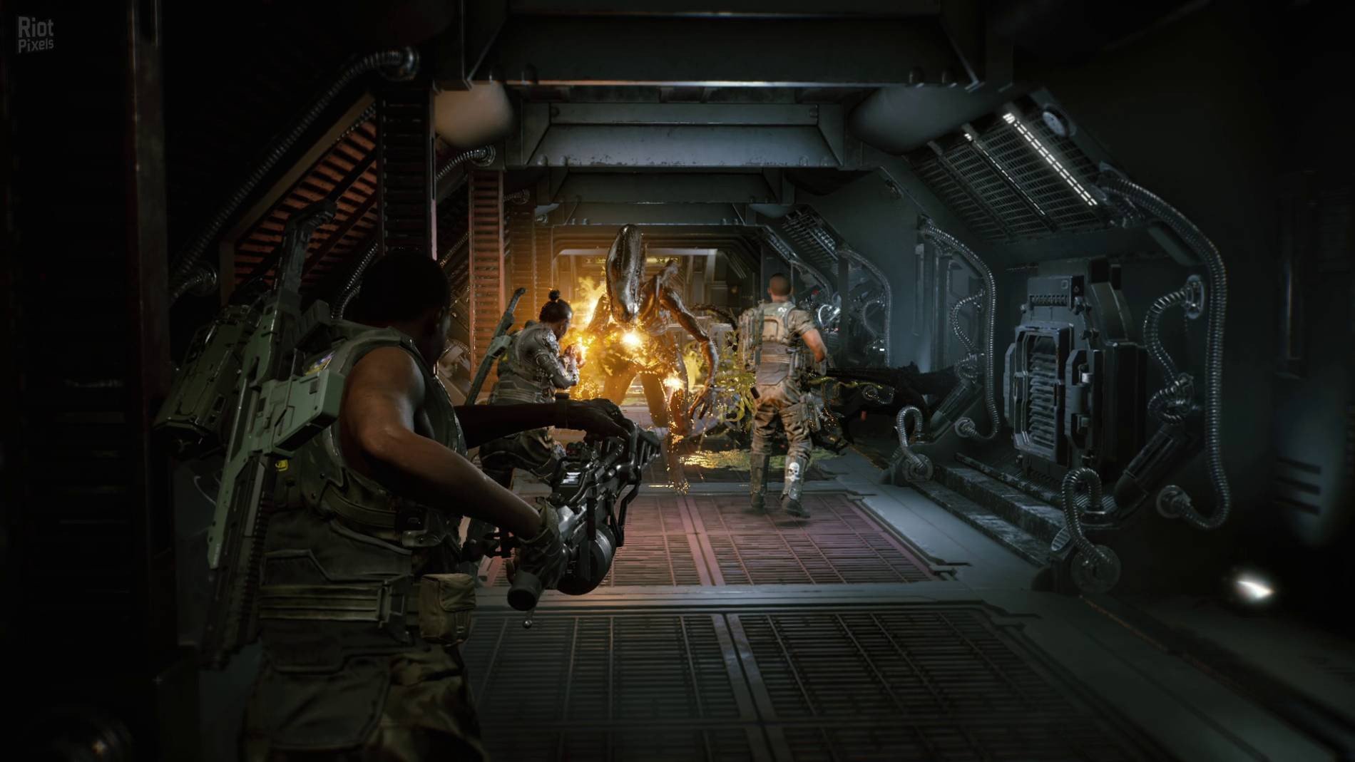 [8]-Aliens: Fireteam Elite – v1.0.5.101570 + 7 DLCs + Windows 7 Fix Download