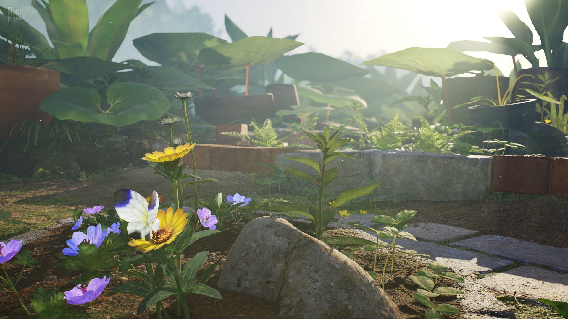 [8]-Pikmin 4 – v1.0.1 + Switch Emulators Download
