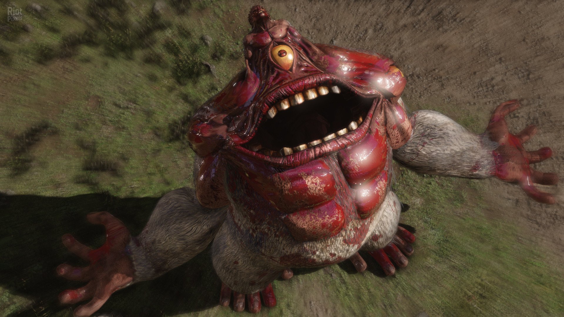 [14]-Berserk and the Band of the Hawk + 6 DLCs Download