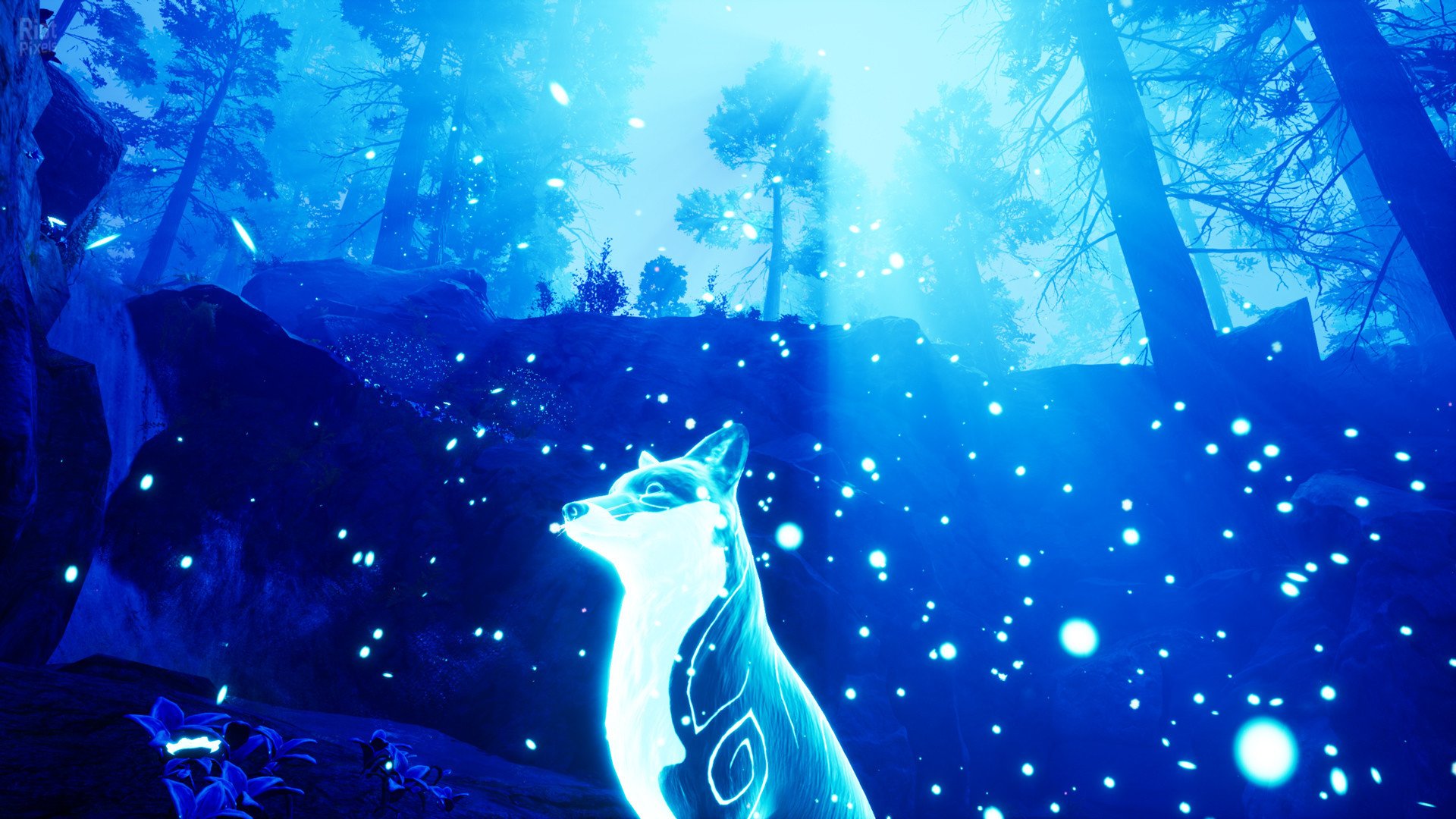 [4]-Spirit of the North – Build 6112756 (Enhanced Edition Update) Download