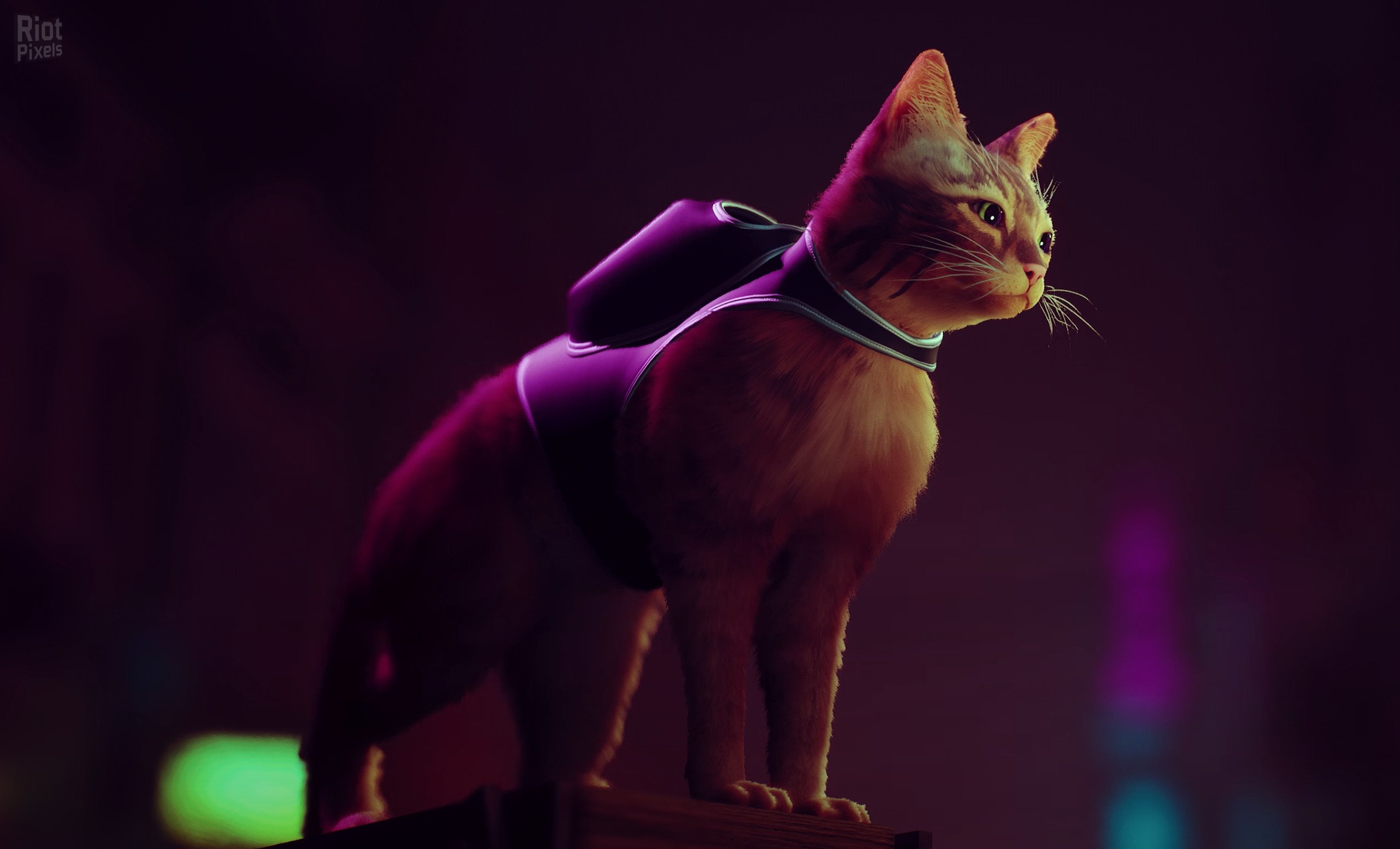 [19]-Stray: Soundtrack Edition – v1.5#368 Revision 26632 (Patch 4) + Bonus OST + Windows 7 Fix Download