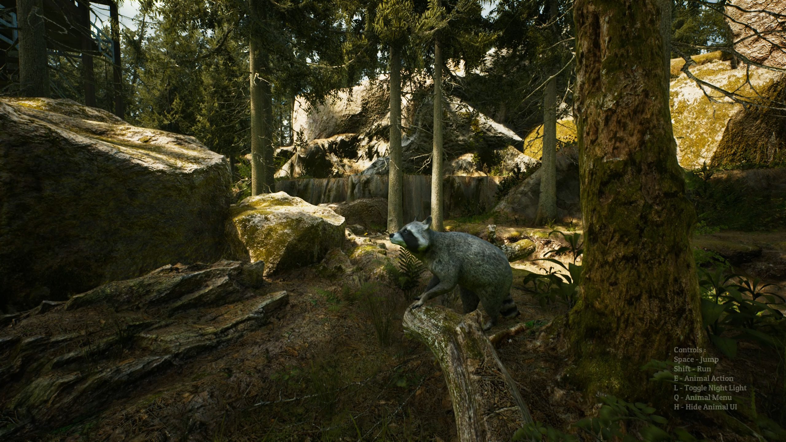 [16]-Morels: The Hunt Download