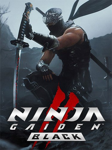 NINJA GAIDEN 2 Black, v1.0.5.0-HohohoGames