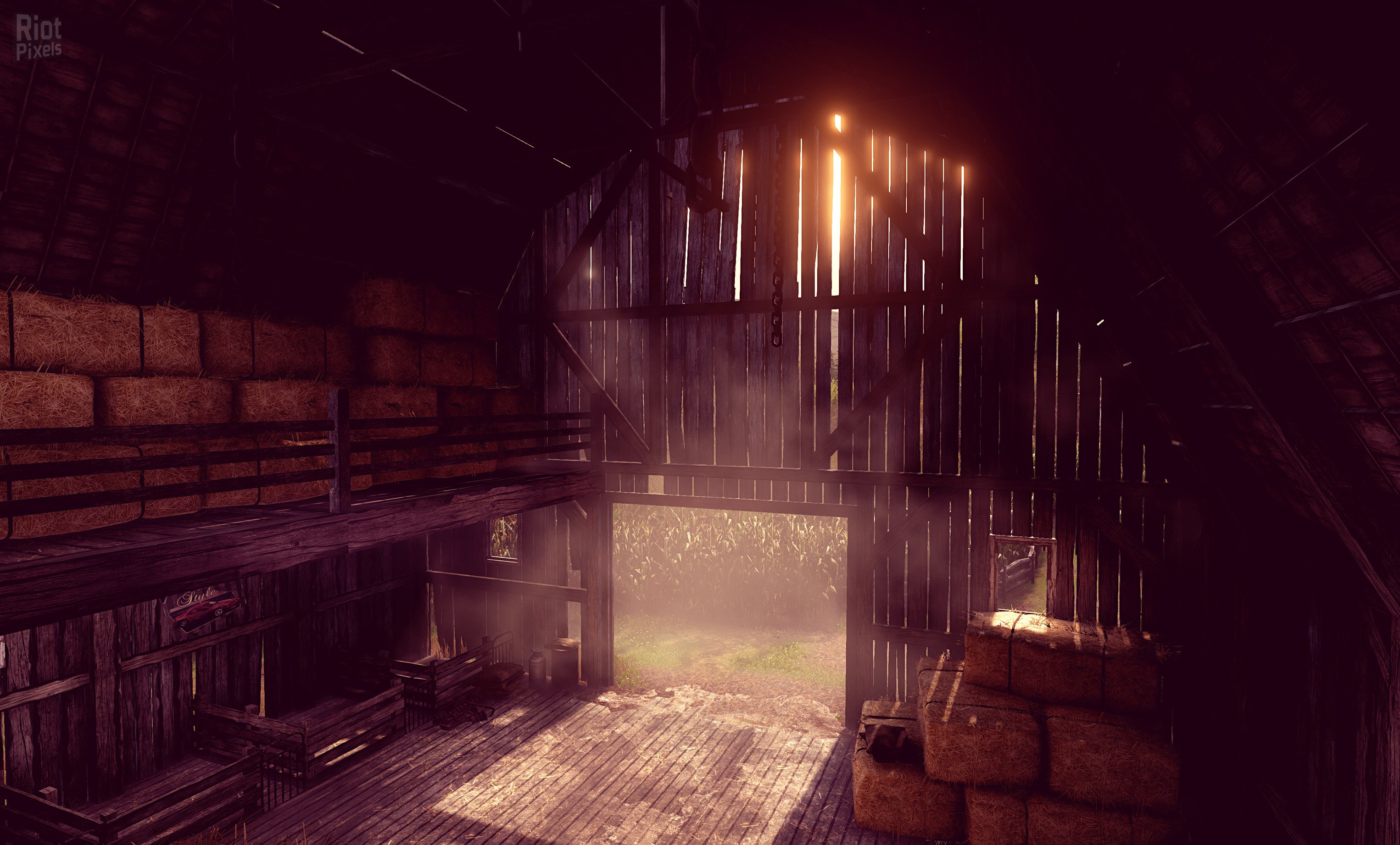 [5]-Maize Download