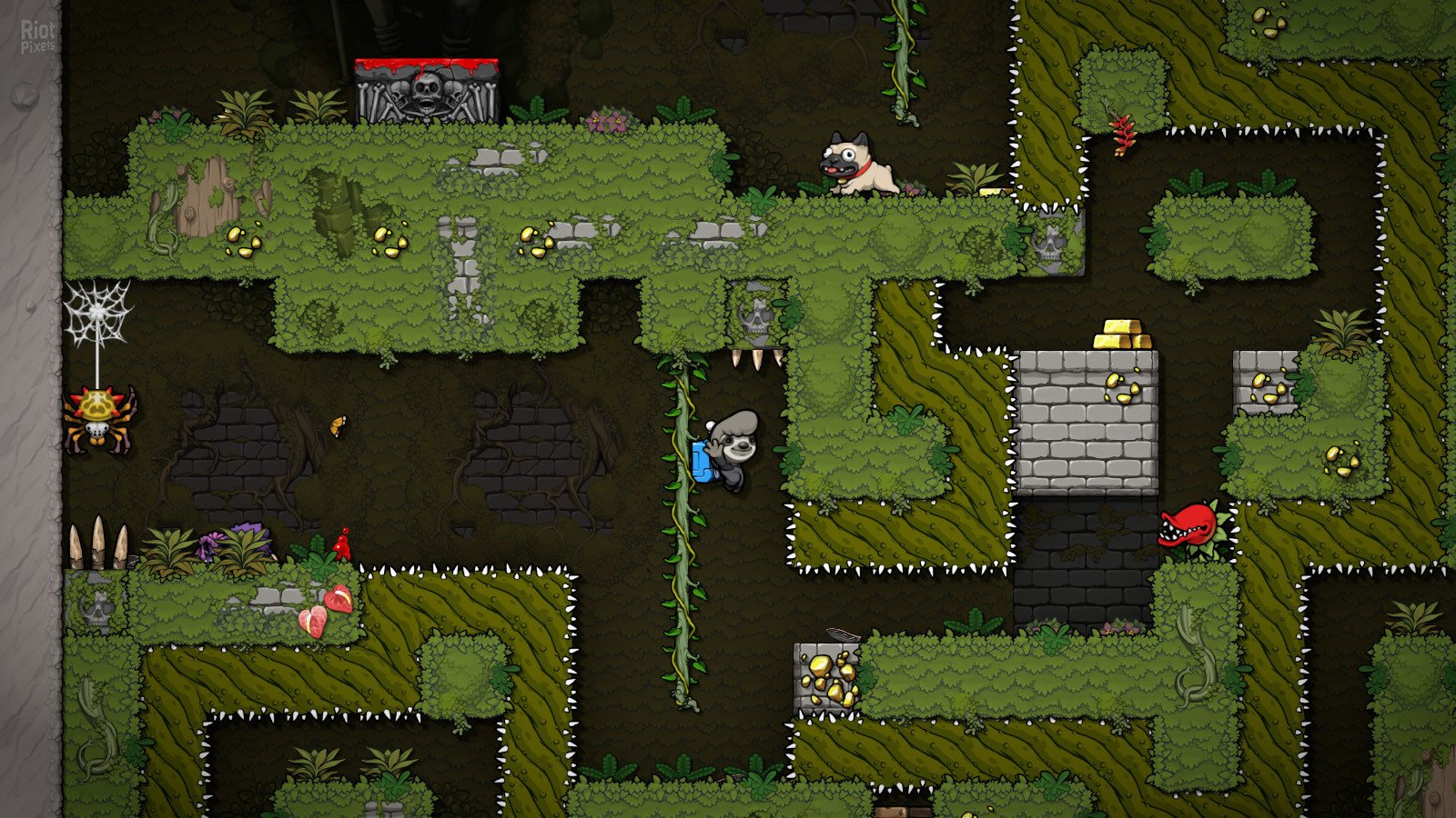 [9]-Spelunky 2 + Windows 7 Fix Download