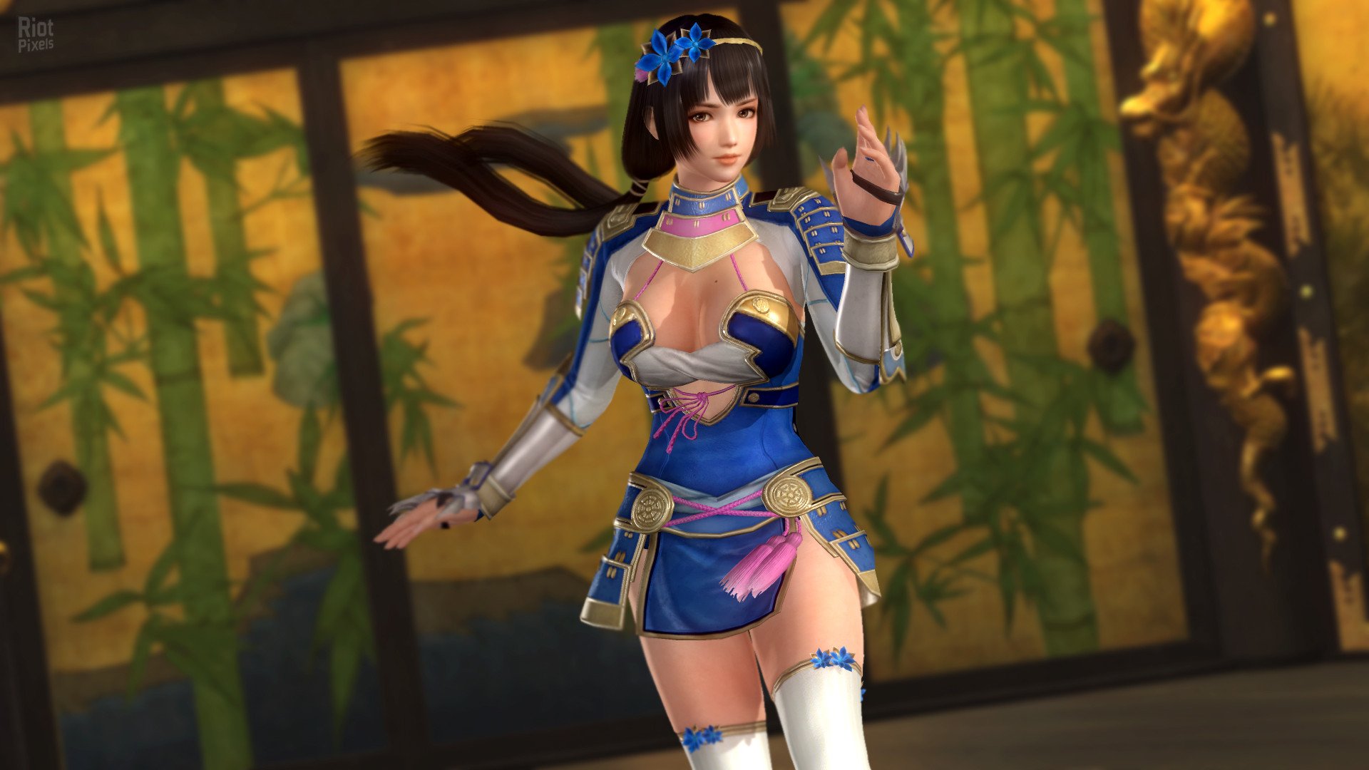 [7]-Dead or Alive 5: Last Round – v1.10C + All DLCs + Unlocker Download