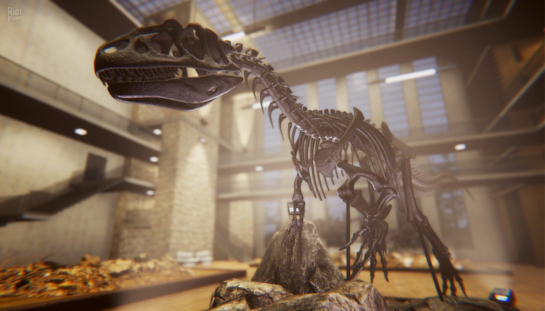[7]-Dinosaur Fossil Hunter – v2.0.21 Download