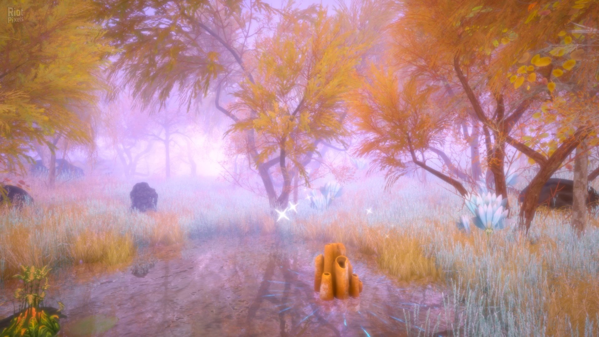 [2]-Hidden Treasures in the Forest of Dreams Download