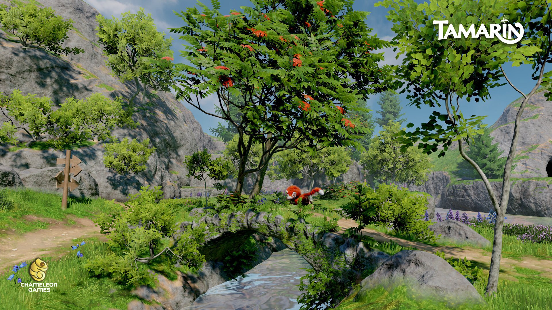[12]-Tamarin Download