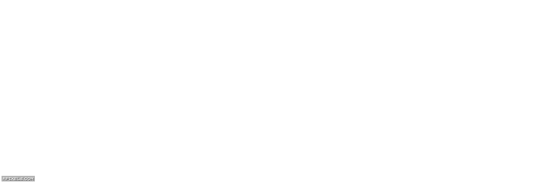 [20]-Chernobylite: Complete Edition – v49411 + 11 DLCs/Bonuses Download