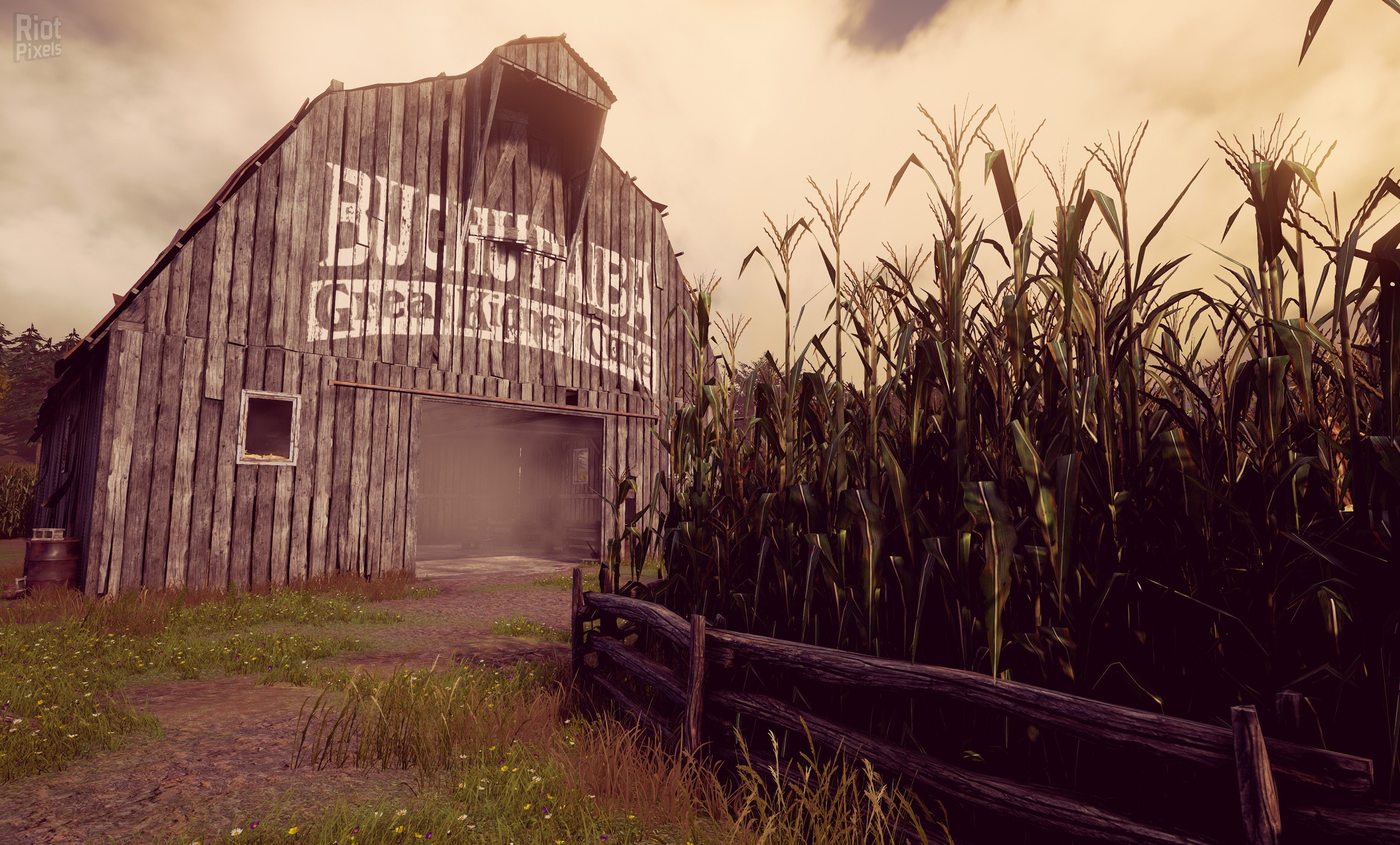 [4]-Maize Download