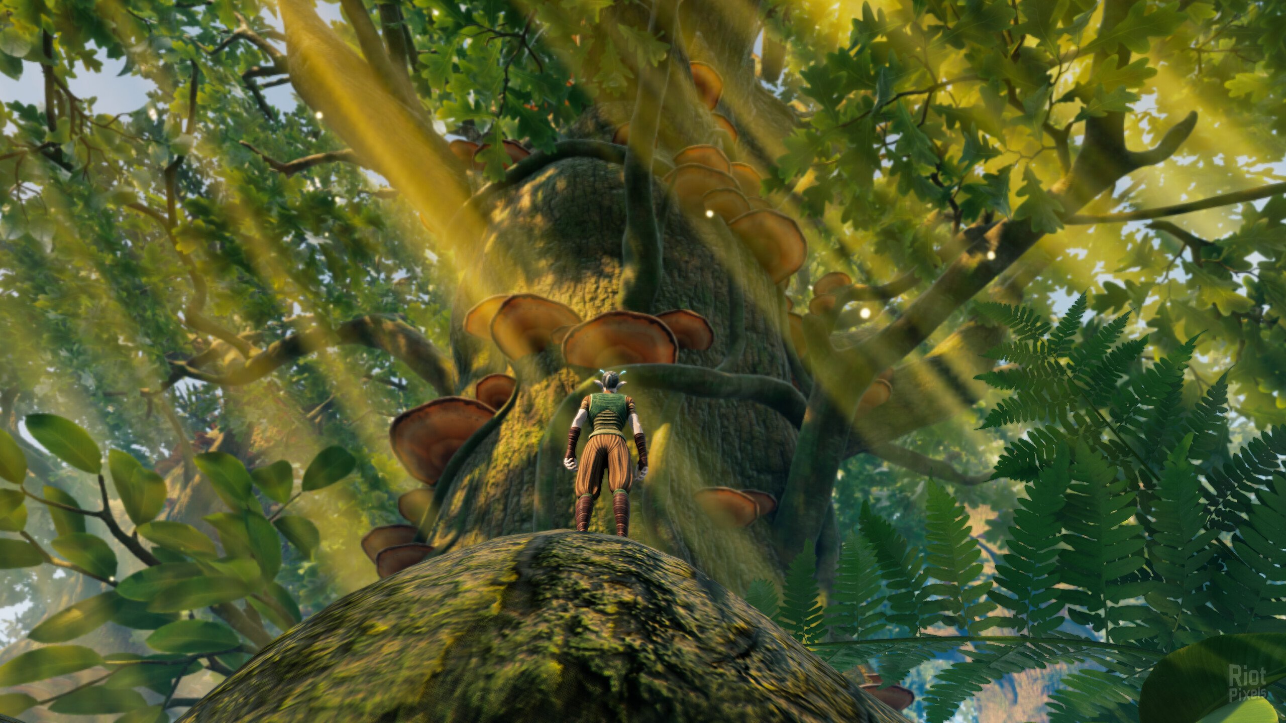 [8]-Smalland: Survive the Wilds & Soundtracks, v1.7.1_15_e769f28c + Bonus OST Download