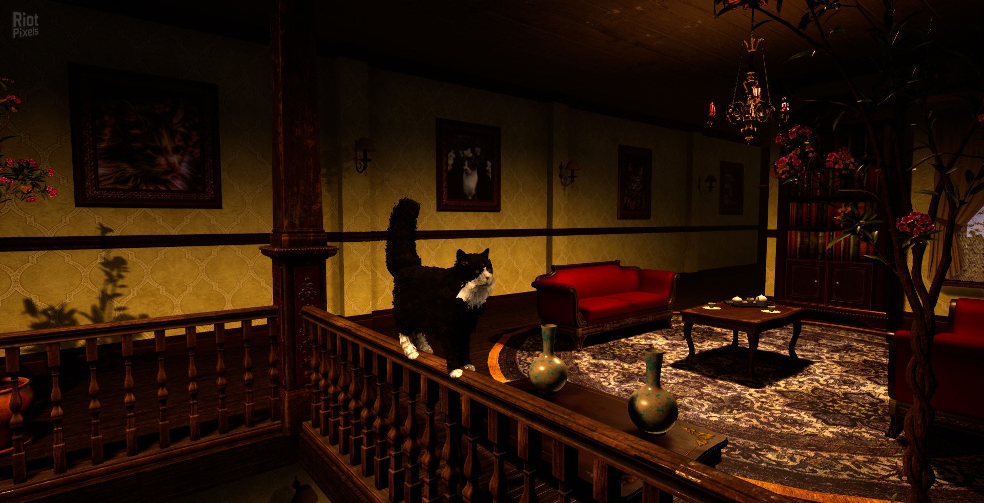[10]-Catsperience Download