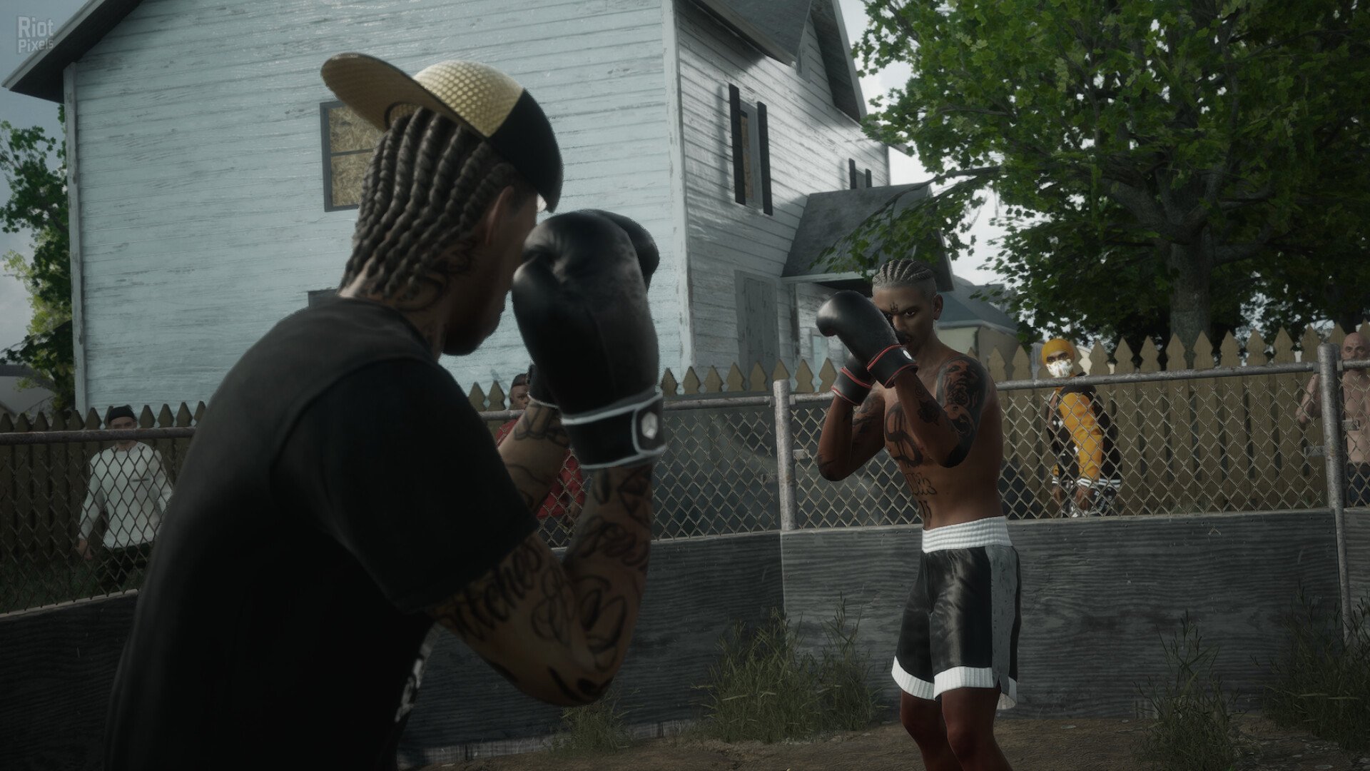 [5]-Backyard Boxing – v1.1.3 Download