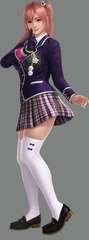 [19]-Dead or Alive 5: Last Round – v1.10C + All DLCs + Unlocker Download