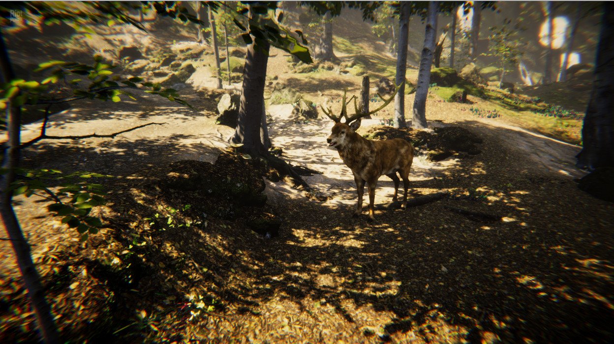 [5]-Animal Simulator Download