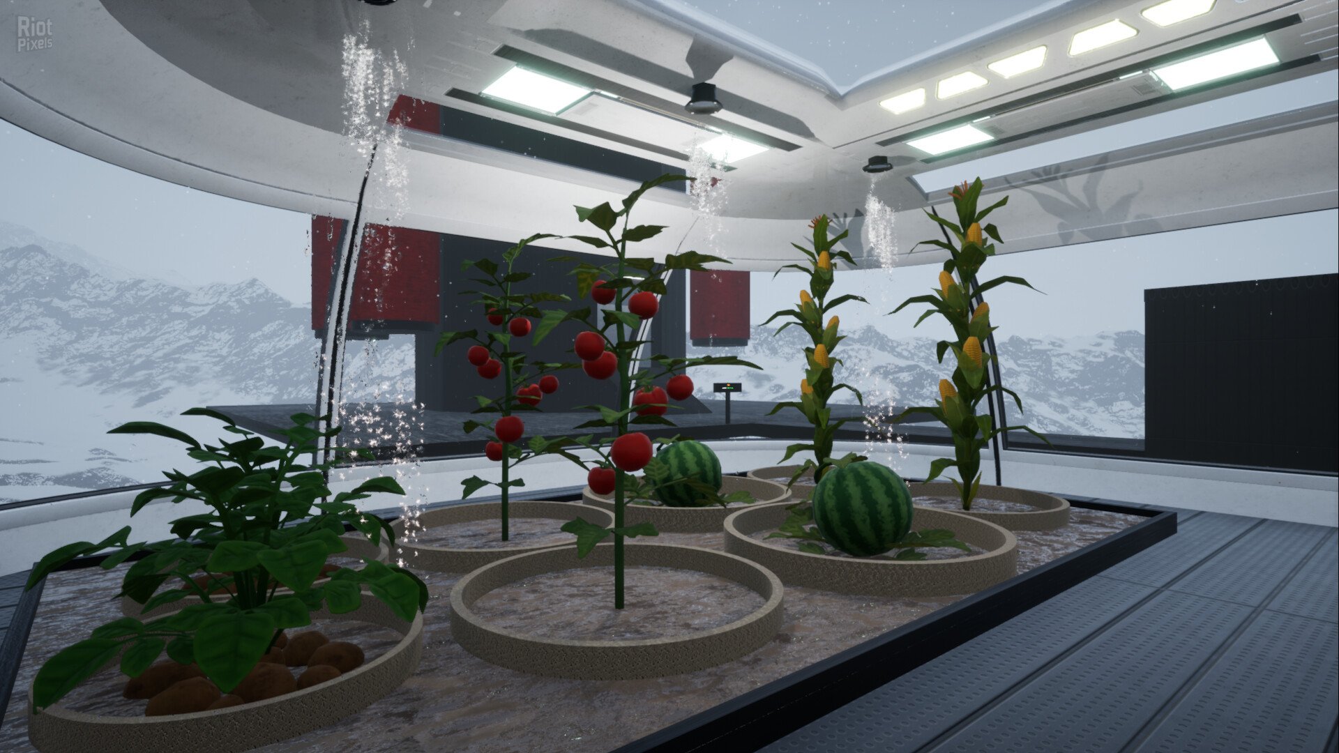 [5]-Surviving Ceres – v1.1b Download