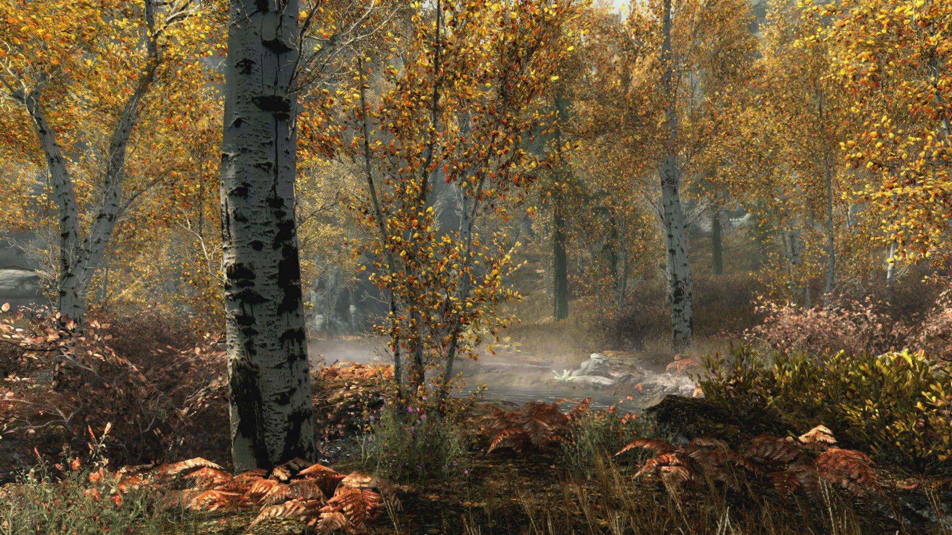 [10]-The Elder Scrolls: Skyrim – Special Edition – v1.5.97.0 + Creation Club Content Download