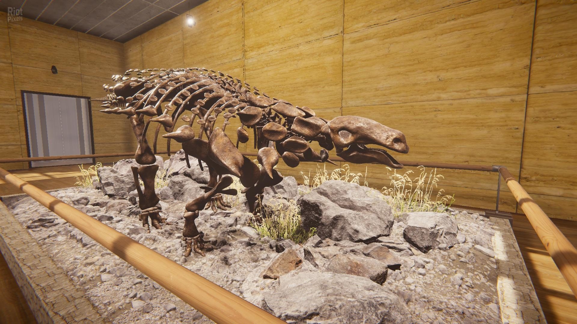 [9]-Dinosaur Fossil Hunter – v2.0.21 Download