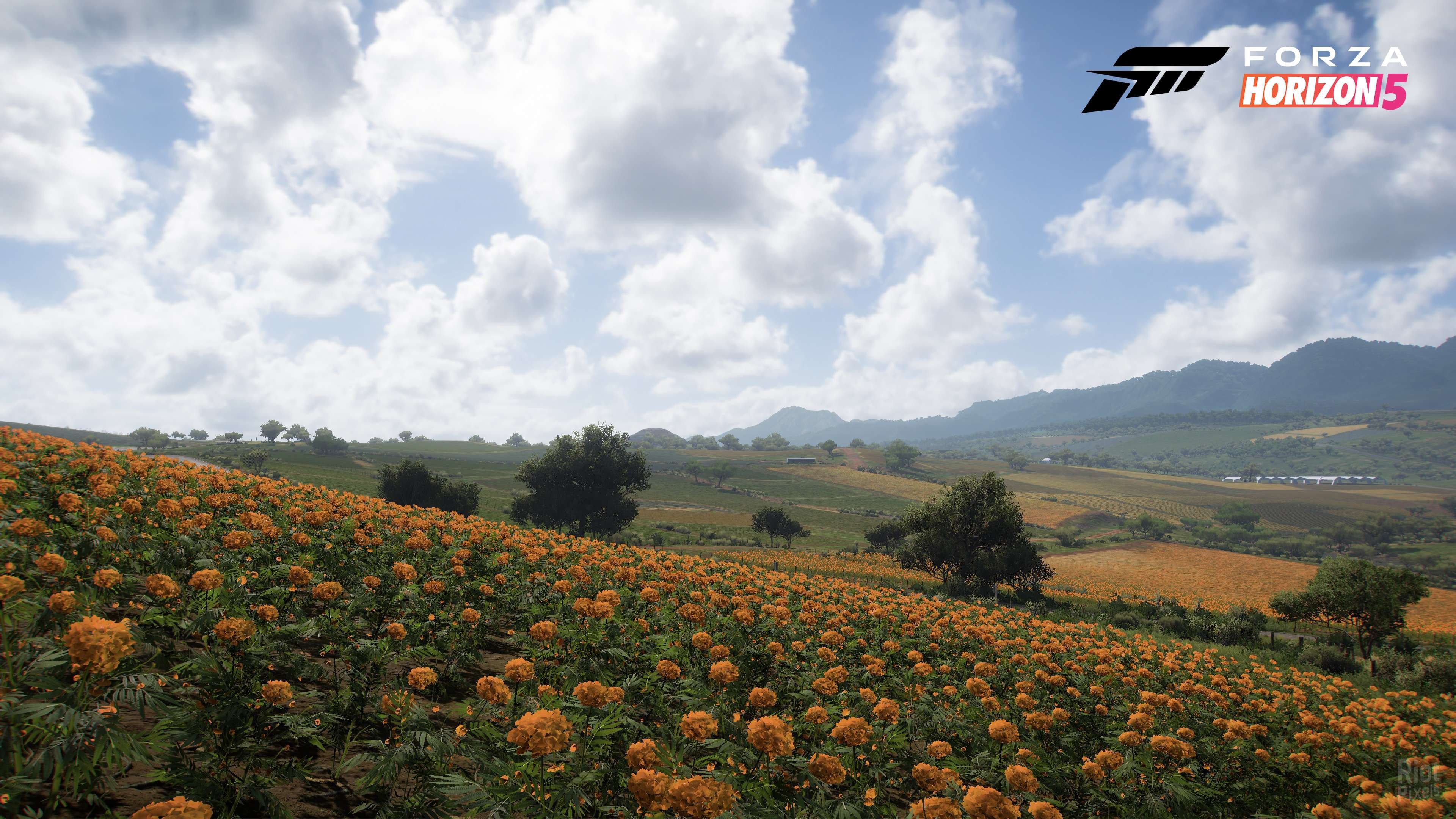 [13]-Forza Horizon 5: Premium Edition – v1.656.386.0 + 58 DLCs + 100% Unlock Save + Multiplayer Download