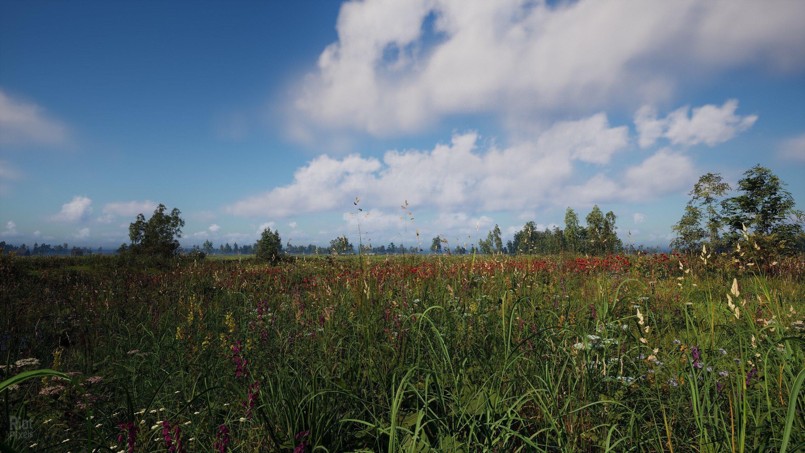 [7]-Russian Soul Simulator Download