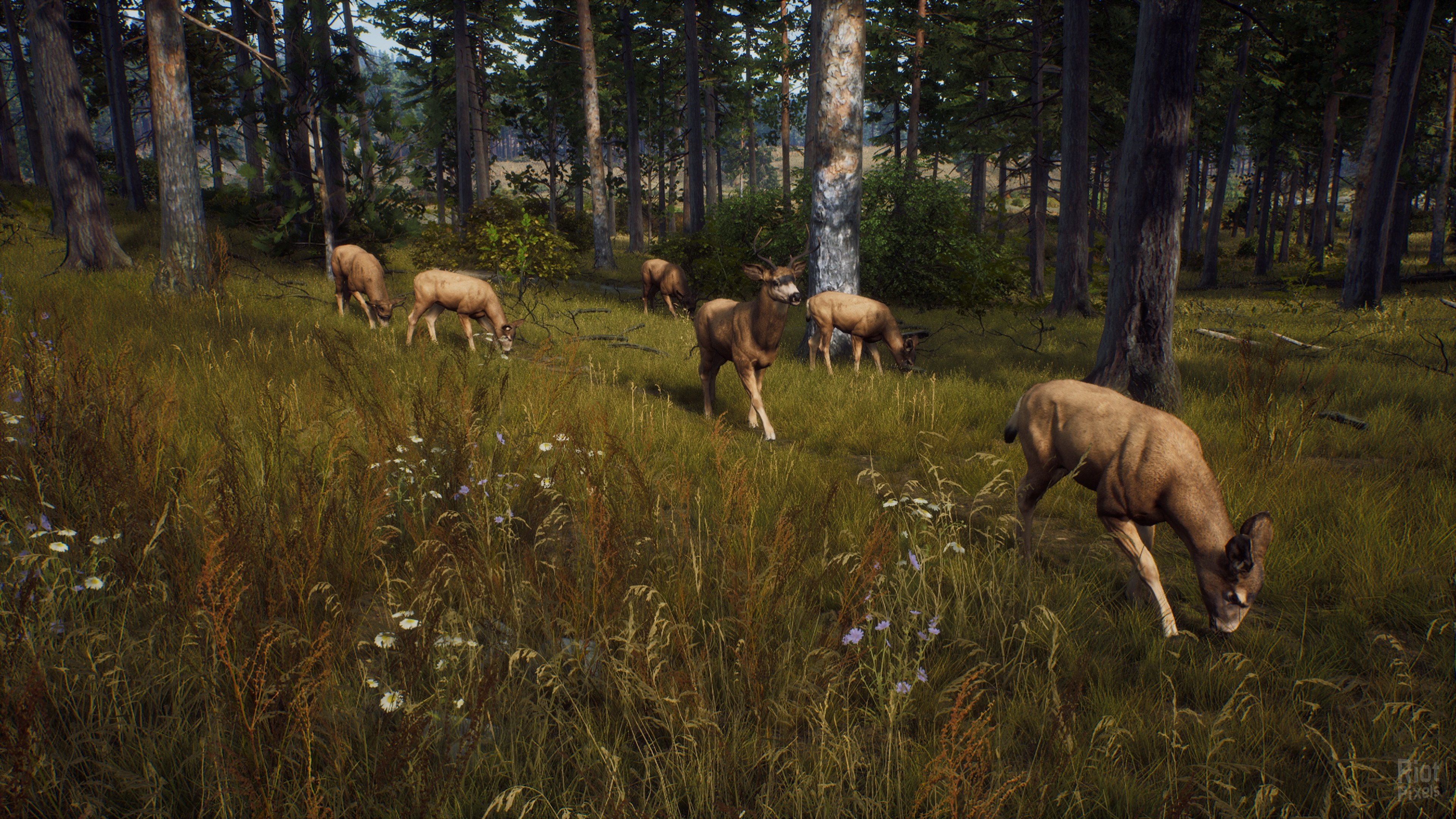 [3]-Way of the Hunter: Ultimate Edition – v1.27 + 15 DLCs/Bonuses + Windows 7 Fix Download