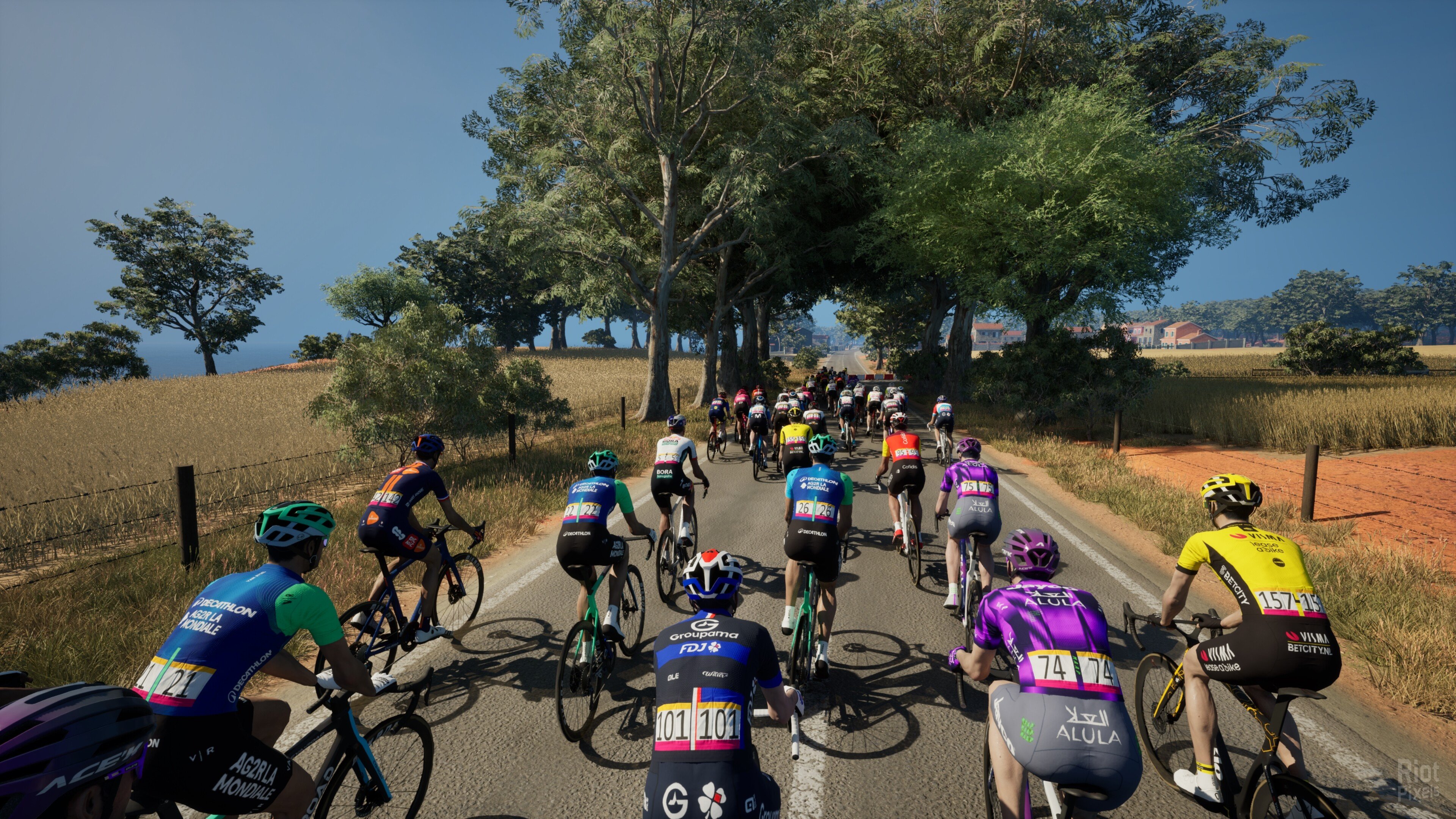 [5]-Pro Cycling Manager 25 – v1.1.2.415 Download