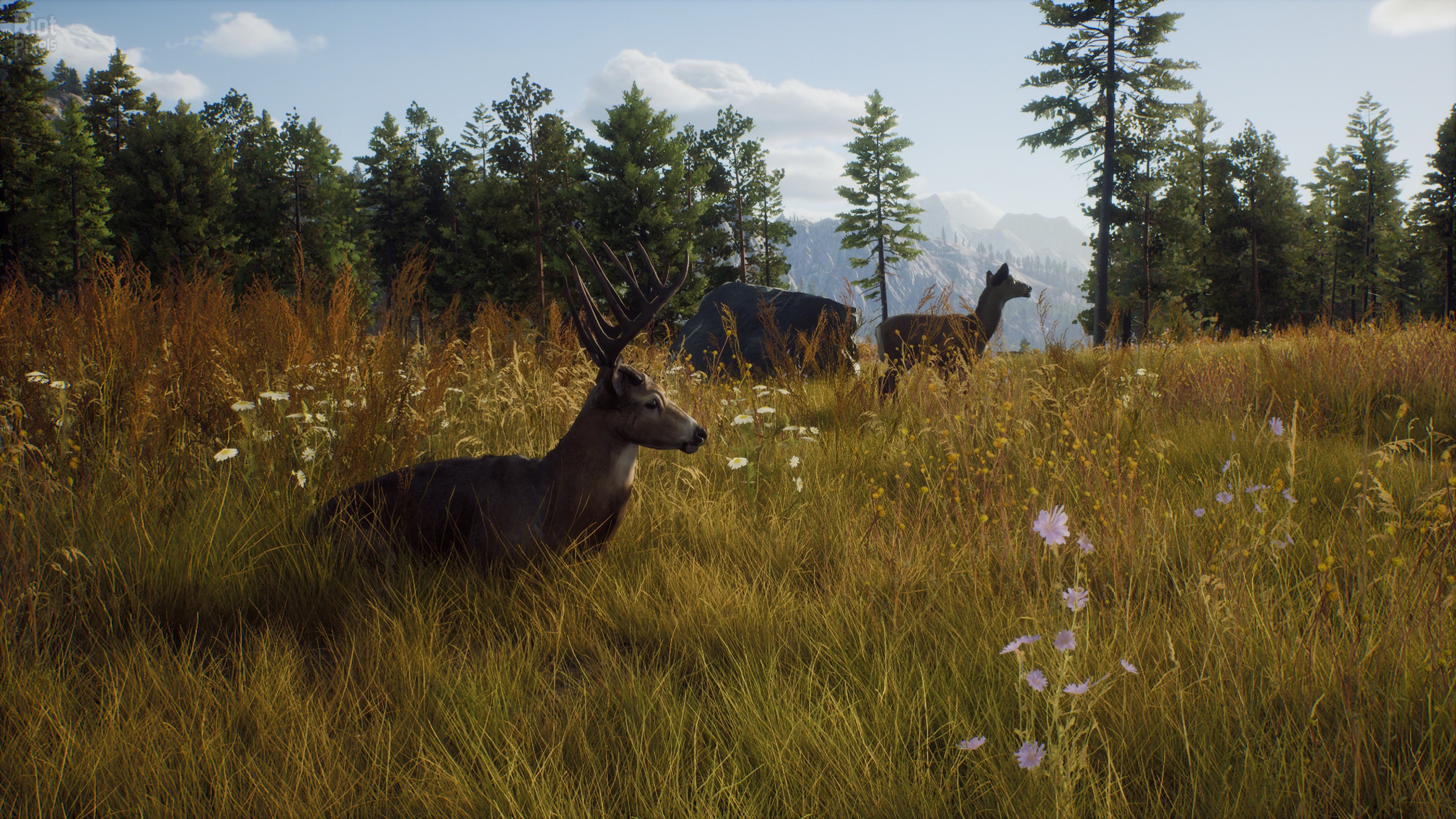 [6]-Way of the Hunter: Ultimate Edition – v1.27 + 15 DLCs/Bonuses + Windows 7 Fix Download