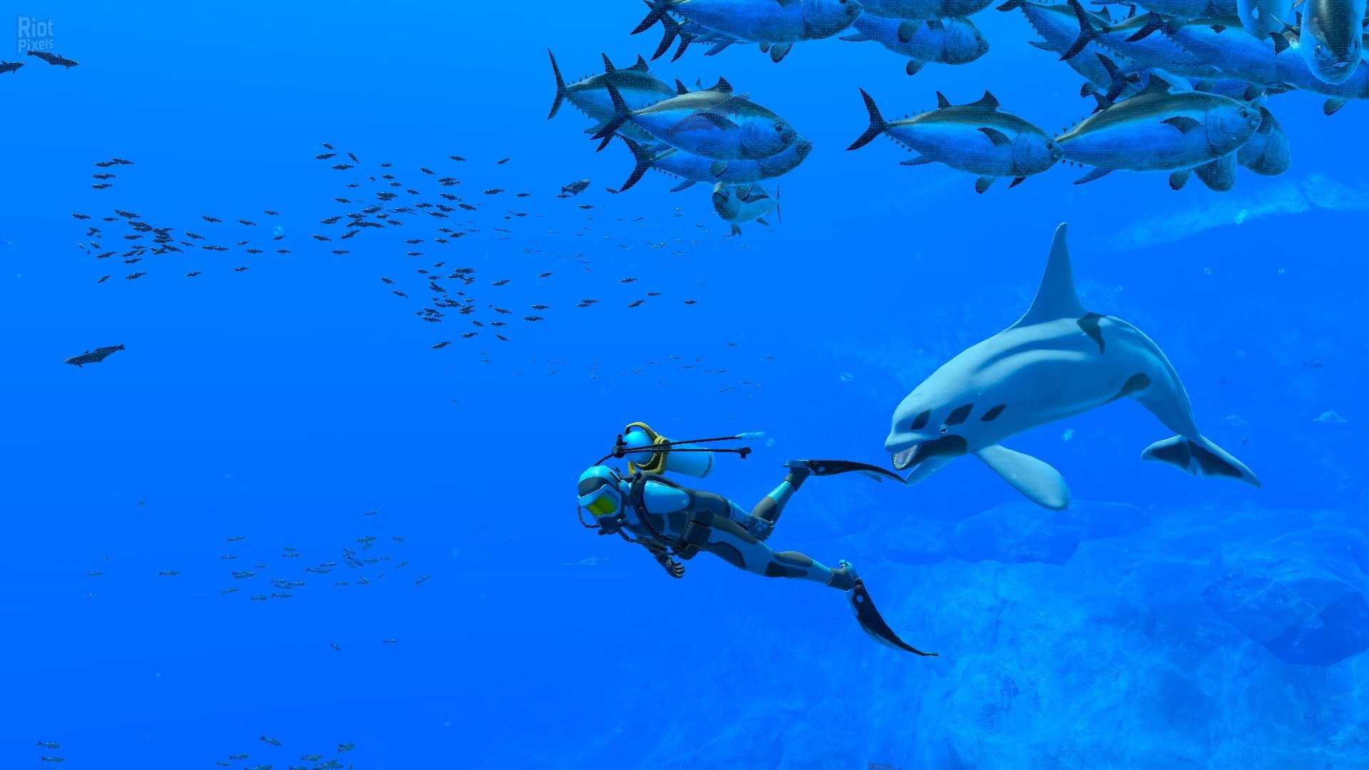[7]-Endless Ocean Luminous – v1.0.1 + 4 Switch Emulators Download