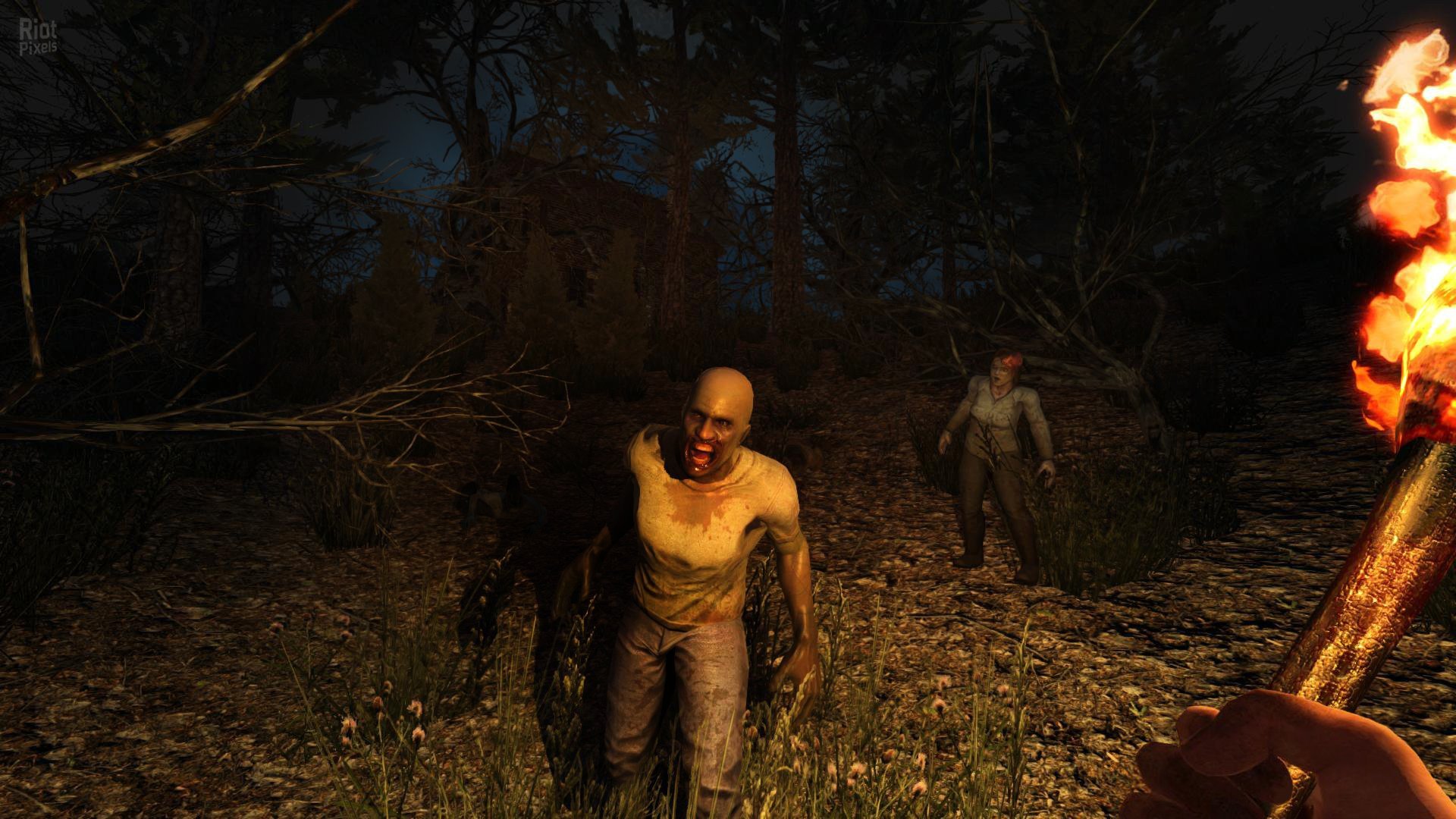 [10]-7 Days to Die – v2.0 b295 + 4 DLCs/Bonuses Download