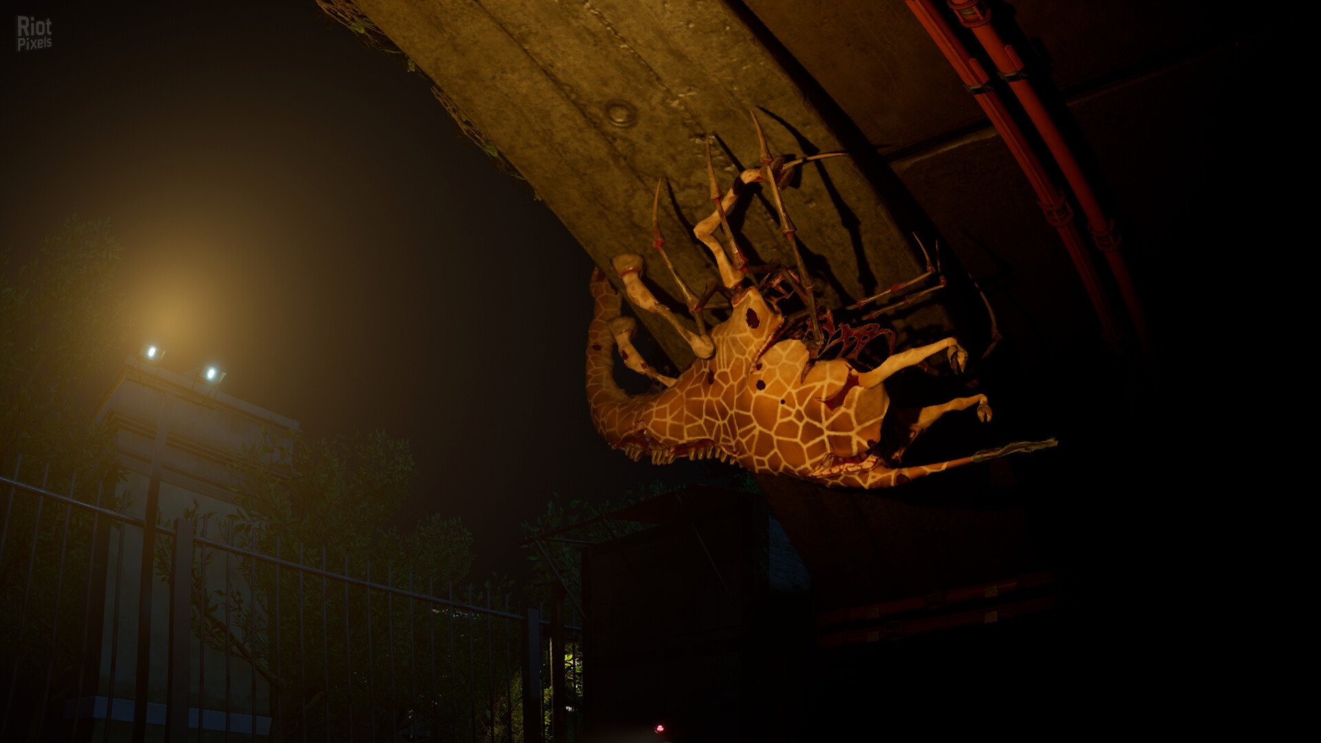 [11]-Zoochosis – v1.6.8 + Windows 7 Fix Download