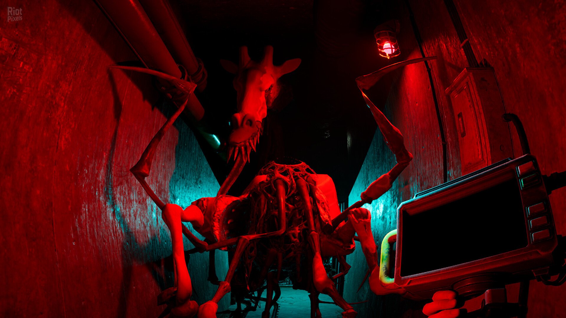 [13]-Zoochosis – v1.6.8 + Windows 7 Fix Download