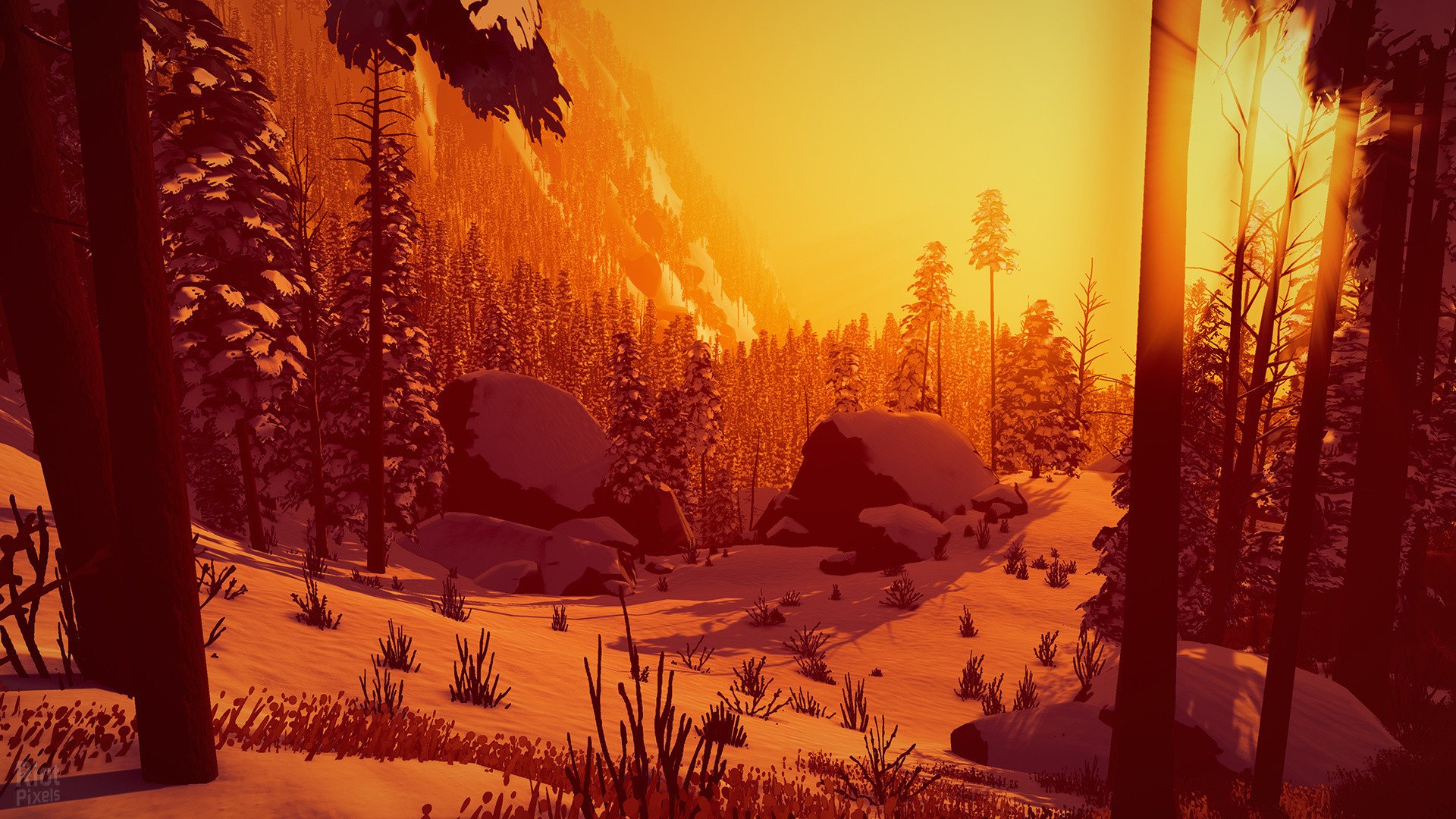 [4]-Arctic Awakening Download