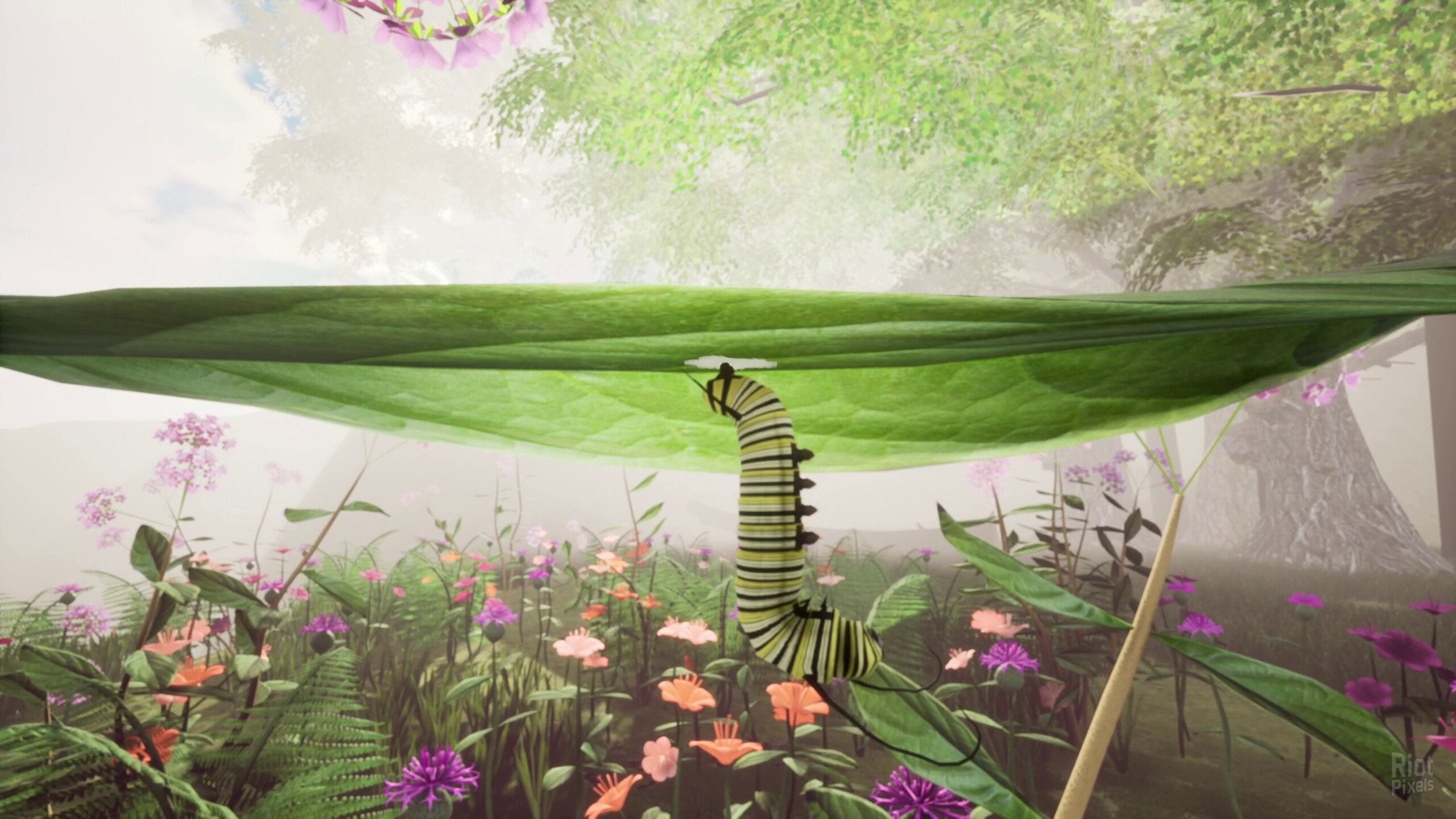 [10]-Nature & Life: Drunk On Nectar, v1.0.4.5.1 + Bonus Soundtrack Download