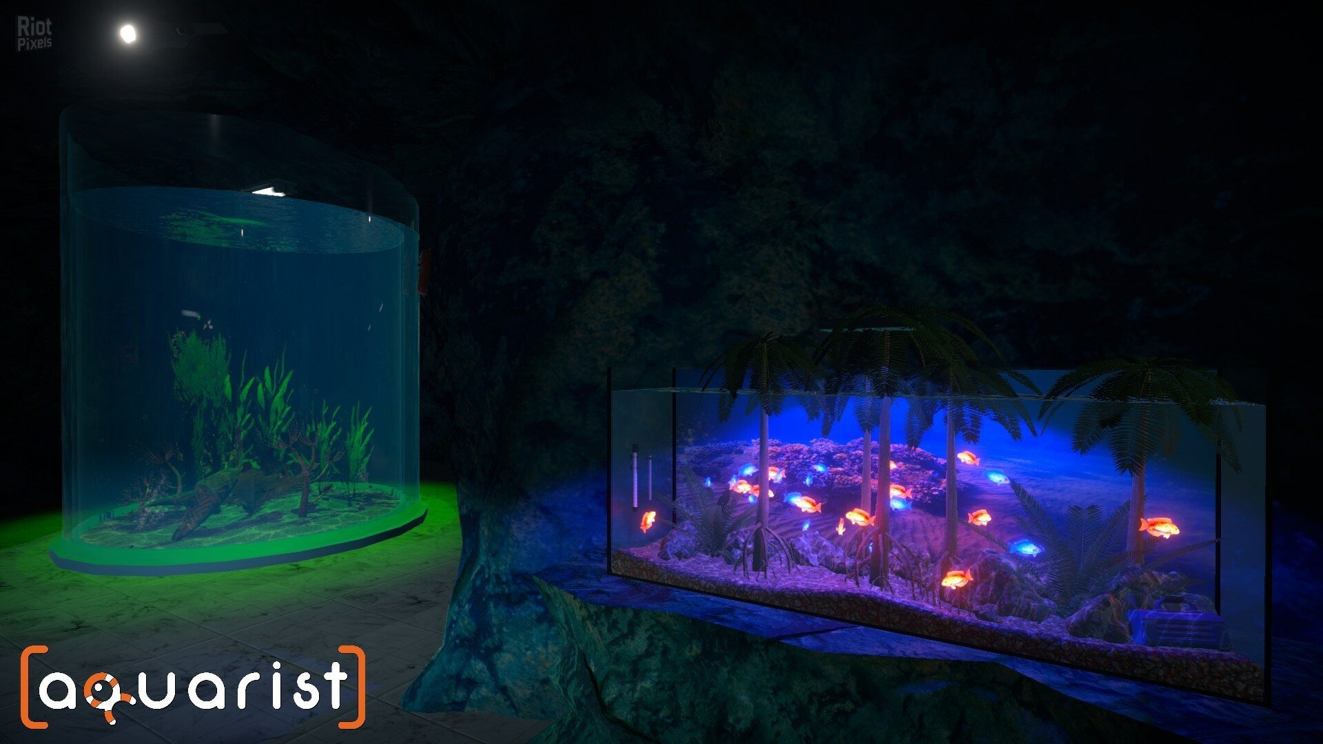 [14]-Aquarist: Full Experience Bundle – Build 19940524 + 4 DLCs Download