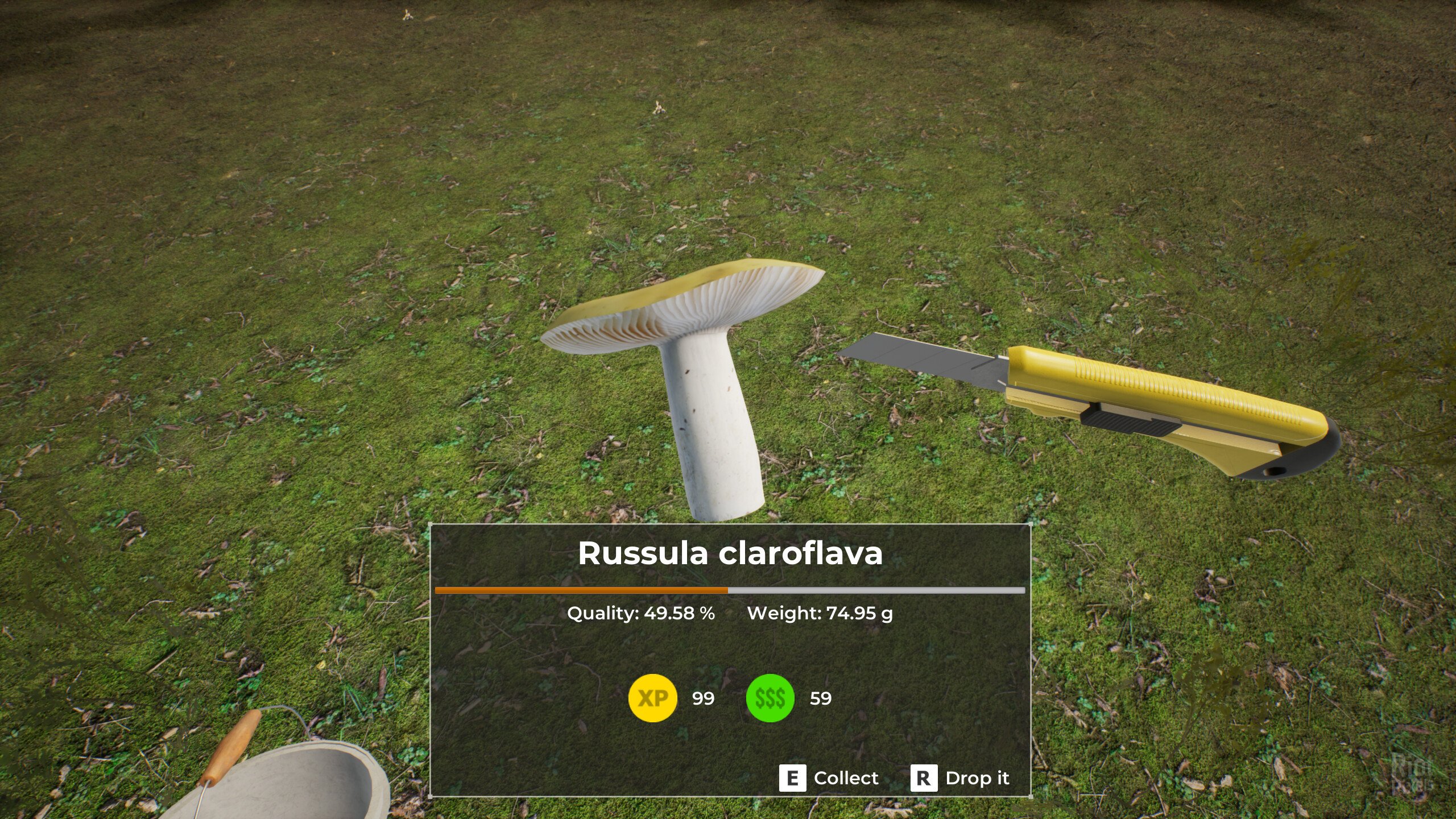 [2]-Mushroom Hunter World – v1.0.2 Download