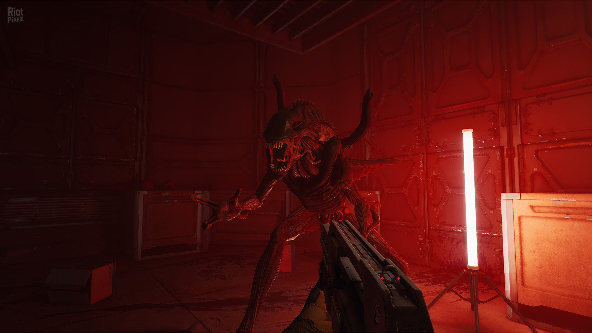 [5]-Alien: Rogue Incursion Evolved Edition – Deluxe + 2 DLCs Download