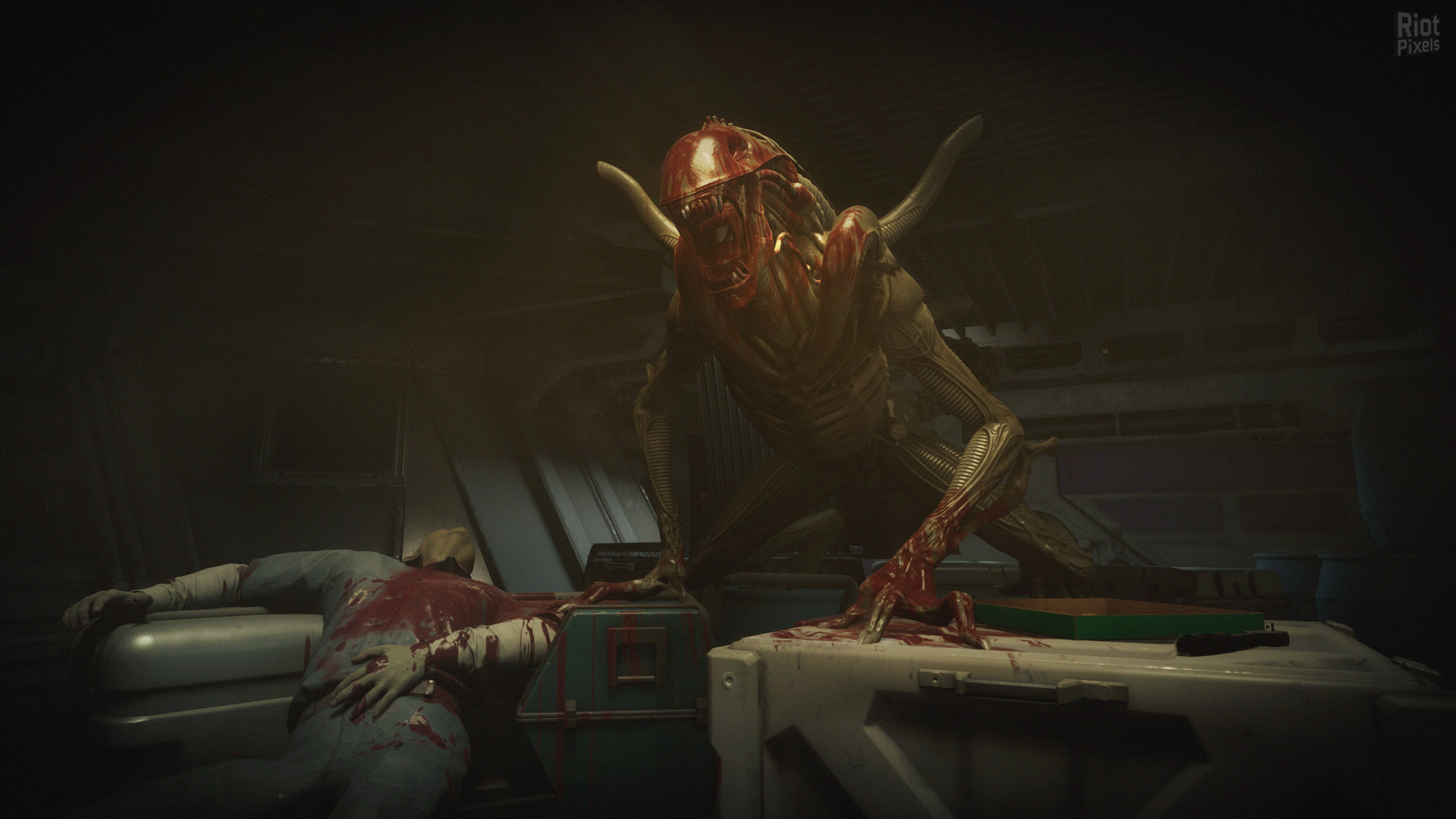 [4]-Alien: Rogue Incursion Evolved Edition – Deluxe + 2 DLCs Download