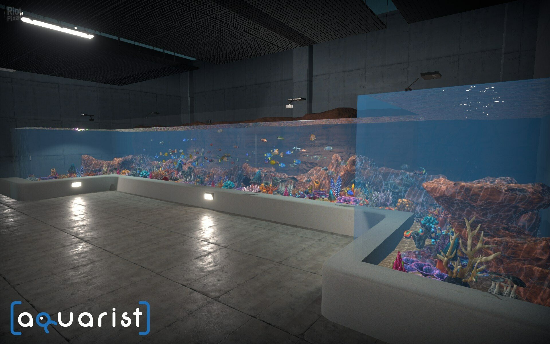 [3]-Aquarist: Full Experience Bundle – Build 19940524 + 4 DLCs Download