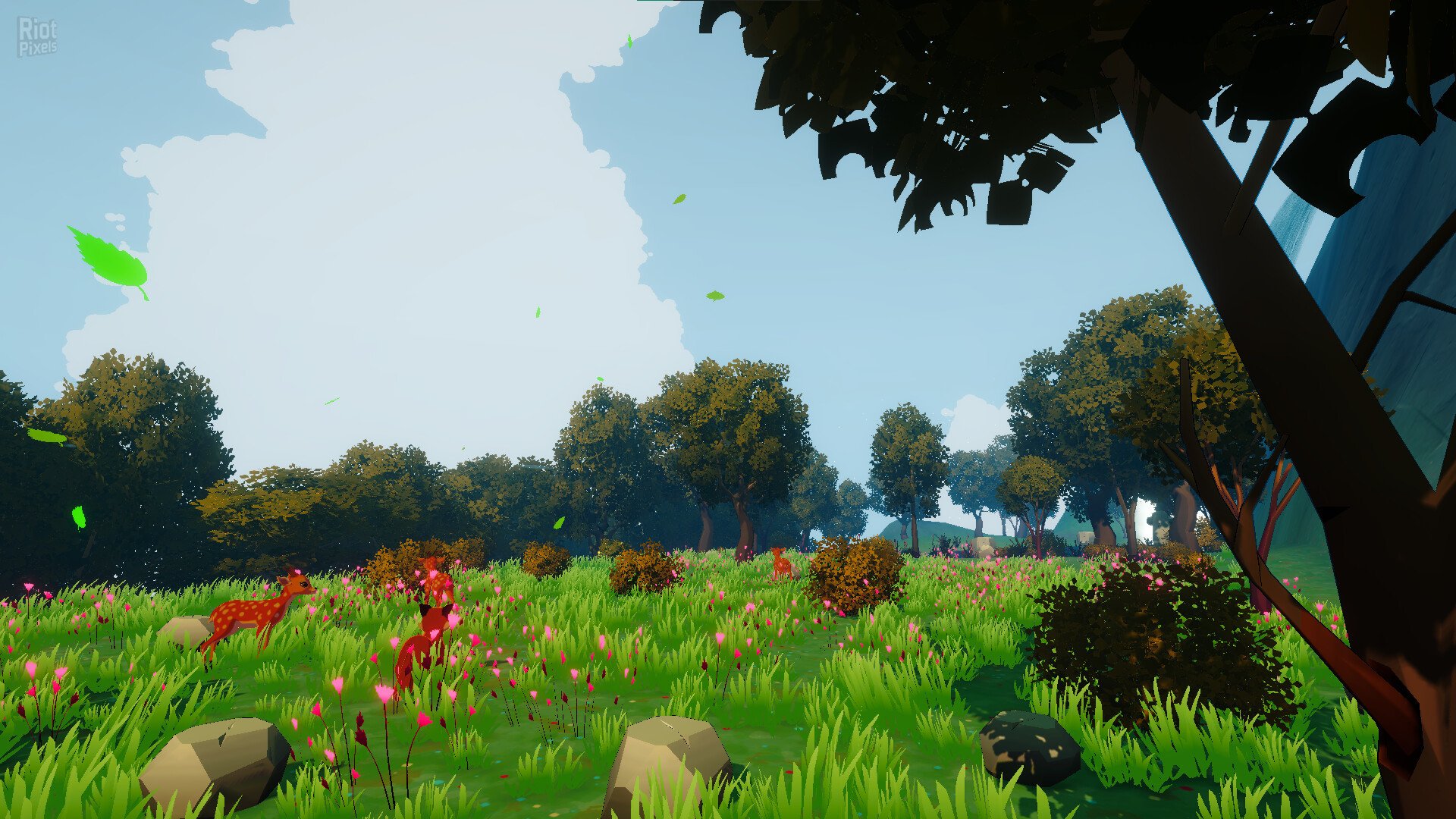 [9]-Harmony in the Wild Download