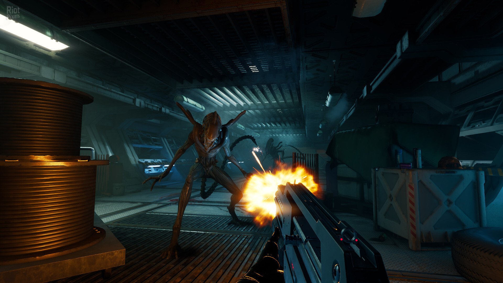 [10]-Alien: Rogue Incursion Evolved Edition – Deluxe + 2 DLCs Download