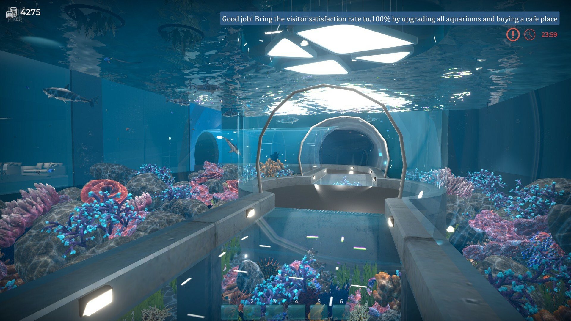 [10]-Aquarist: Full Experience Bundle – Build 19940524 + 4 DLCs Download