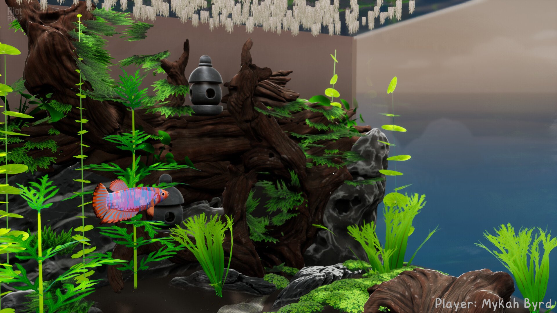 [9]-Fish Game – Build 19987652 + 6 DLCs Download