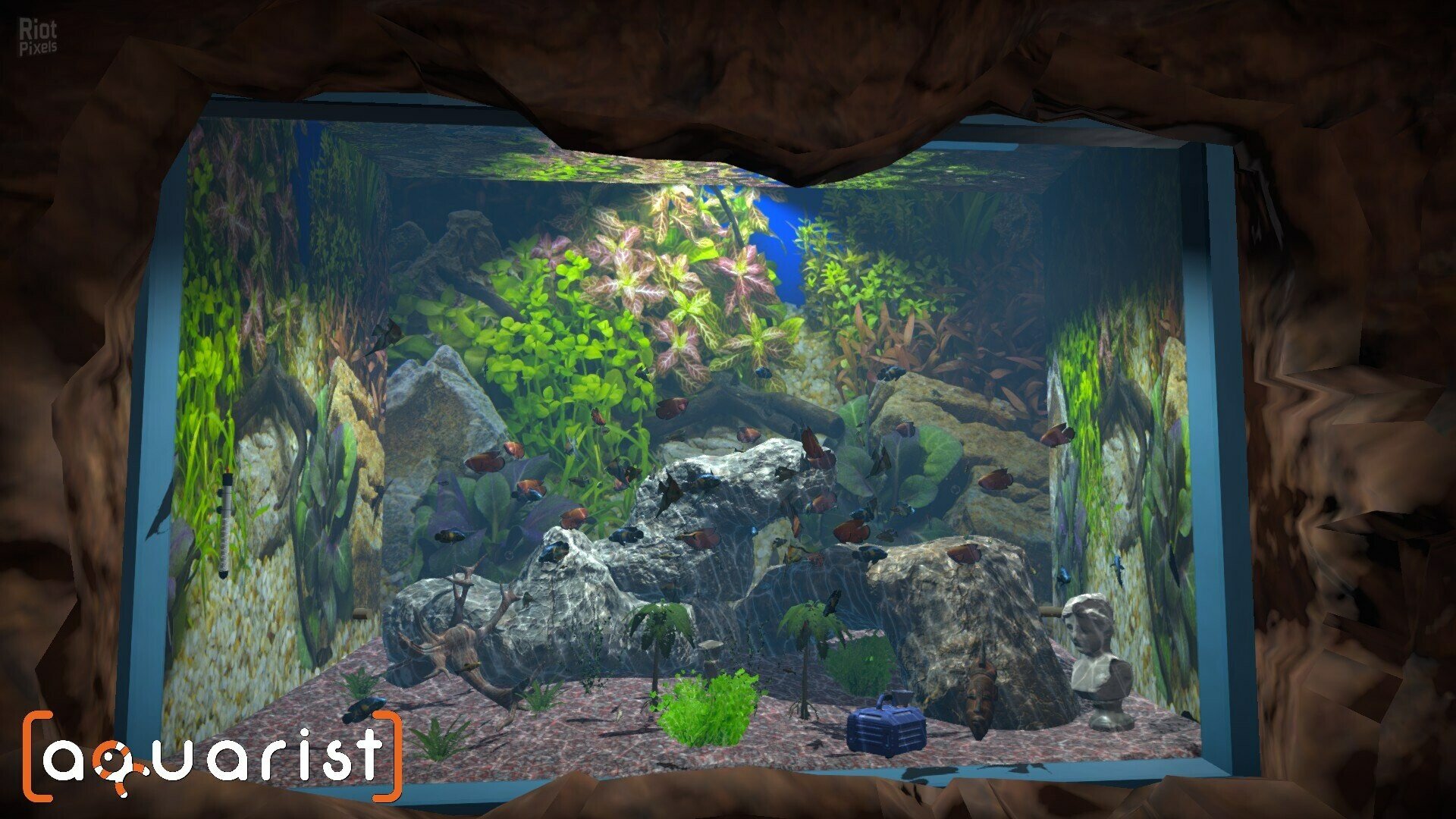 [7]-Aquarist: Full Experience Bundle – Build 19940524 + 4 DLCs Download