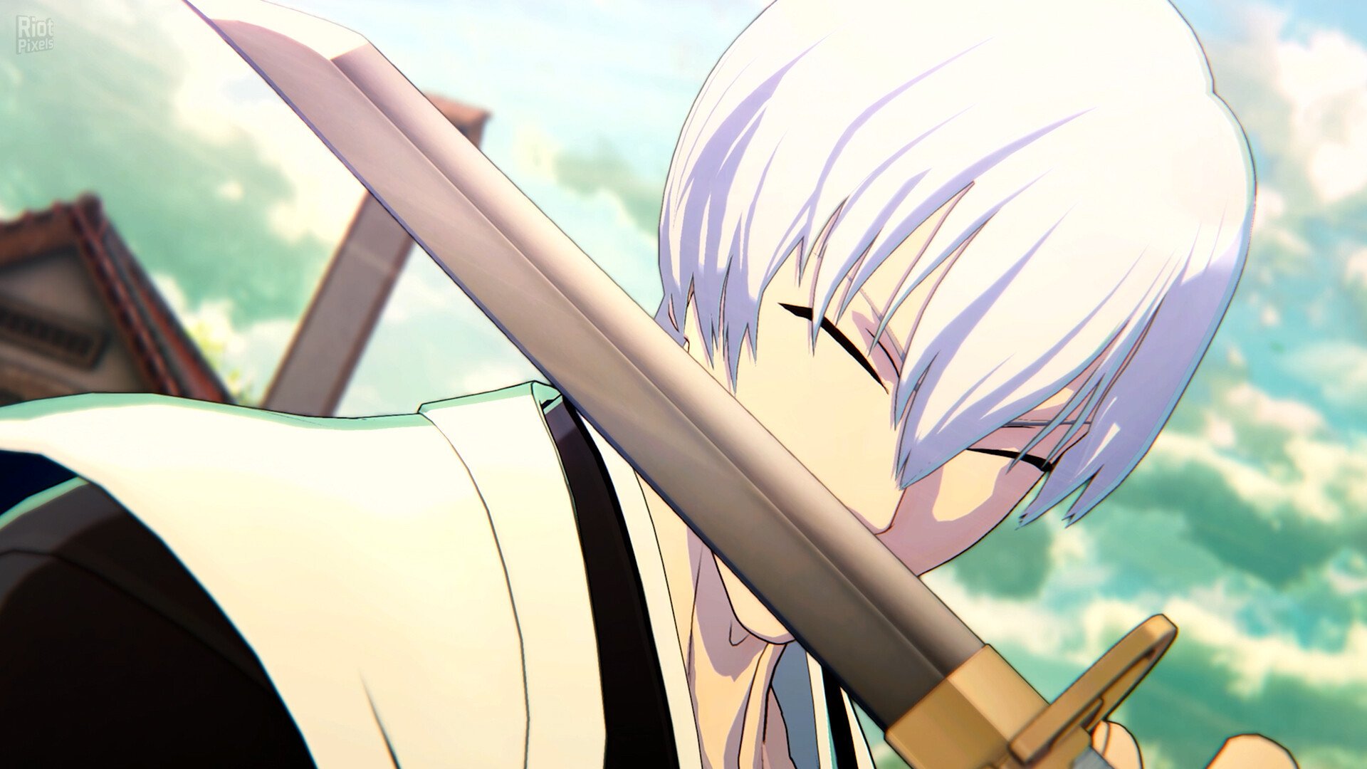 [2]-BLEACH: Rebirth of Souls, v1.30 + 9 DLCs Download