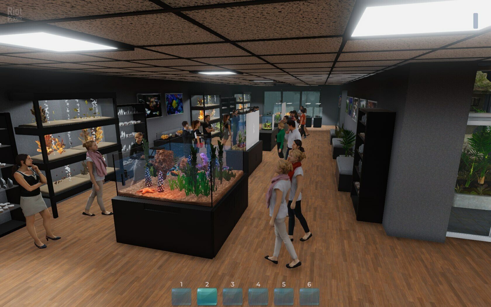 [11]-Aquarist: Full Experience Bundle – Build 19940524 + 4 DLCs Download