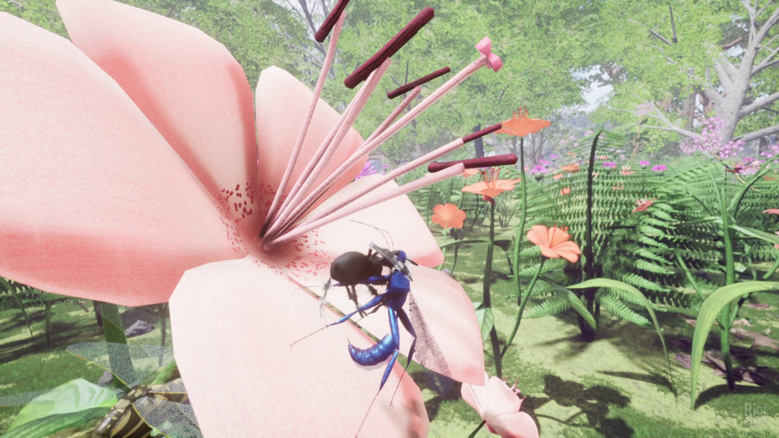 [4]-Nature & Life: Drunk On Nectar, v1.0.4.5.1 + Bonus Soundtrack Download