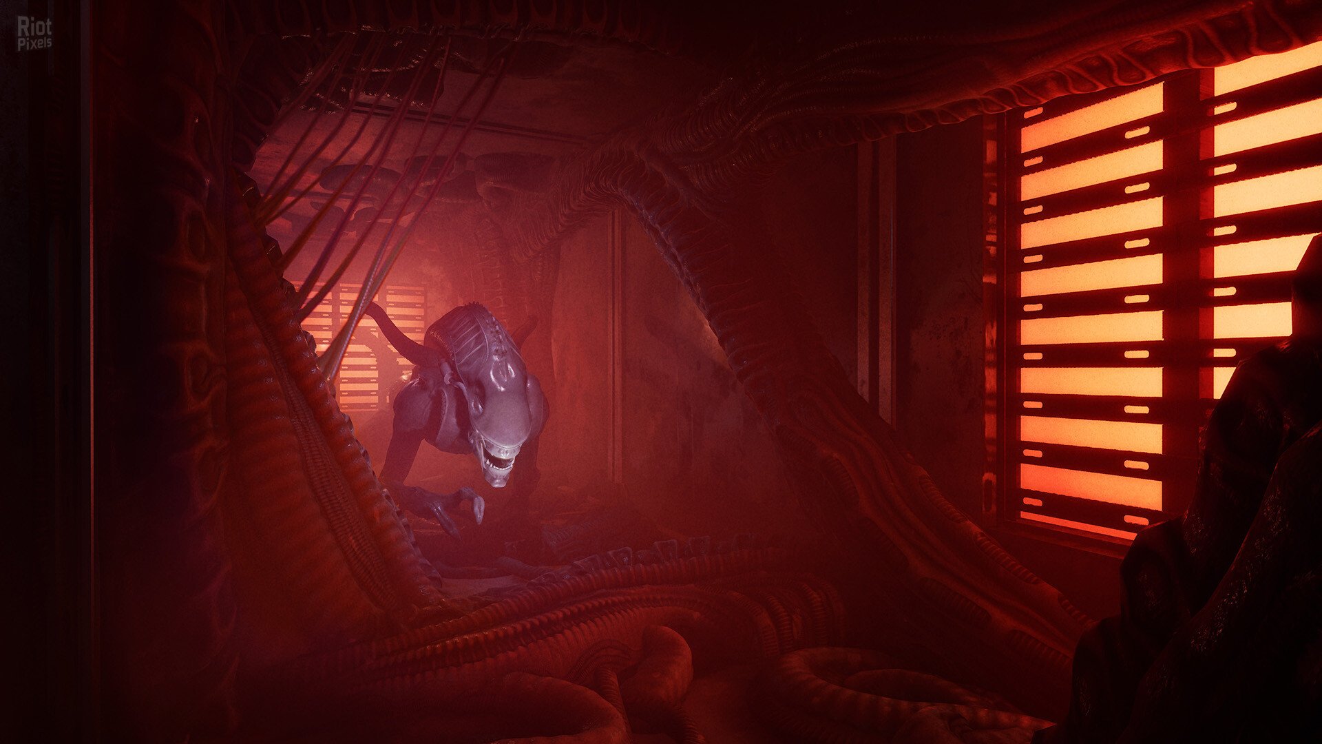 [8]-Alien: Rogue Incursion Evolved Edition – Deluxe + 2 DLCs Download